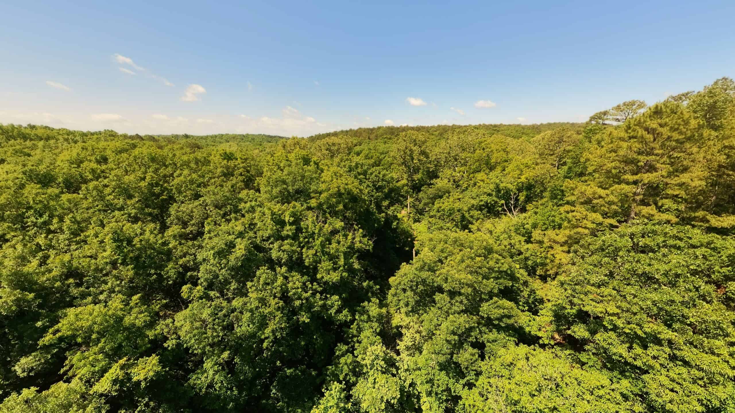 Missouri Hunting Property Bordering National Forest