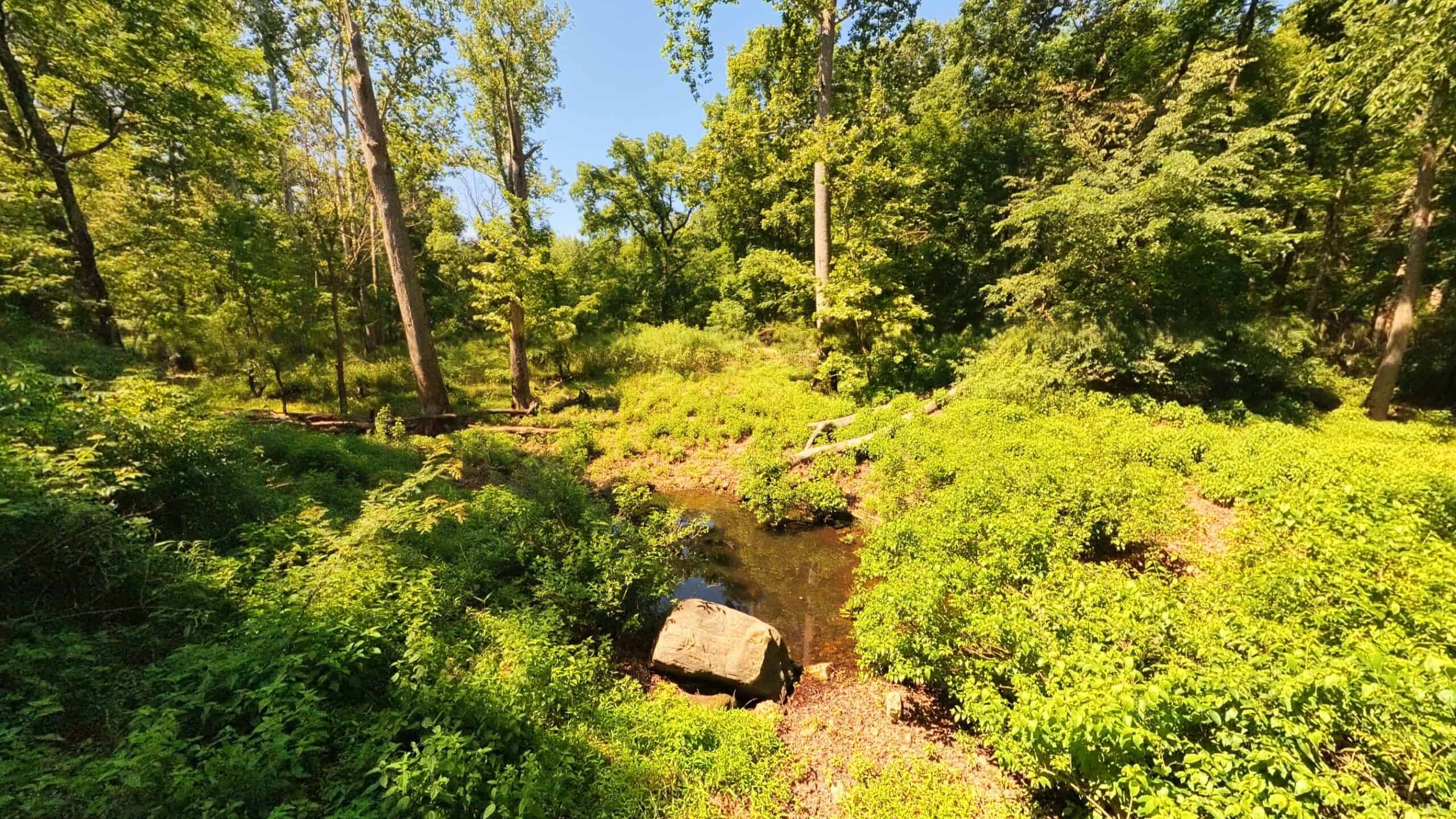 Missouri Hunting Property Bordering National Forest