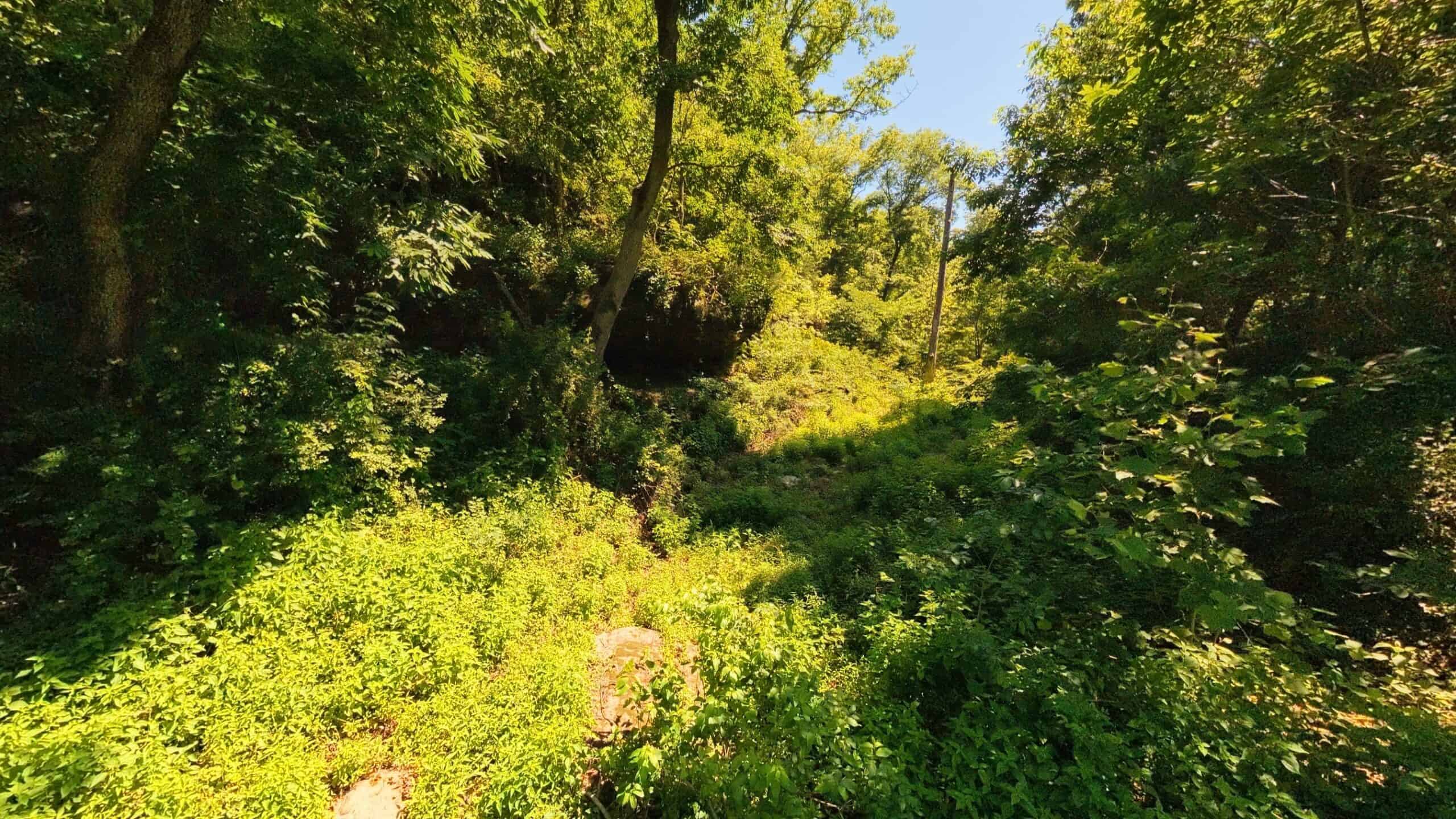Missouri Hunting Property Bordering National Forest