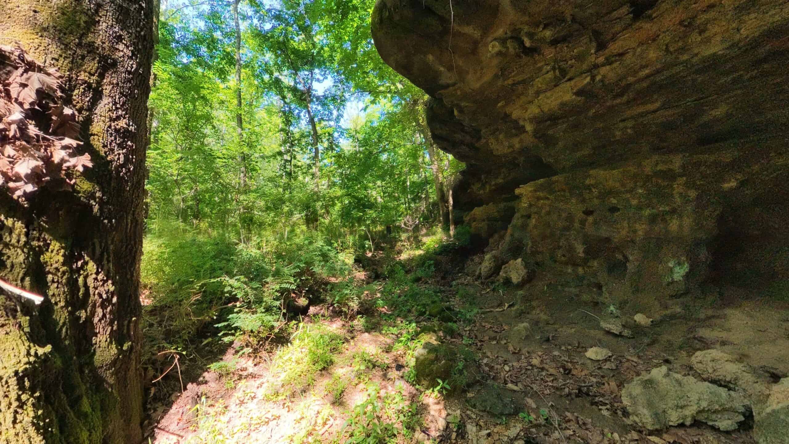 Missouri Hunting Property Bordering National Forest