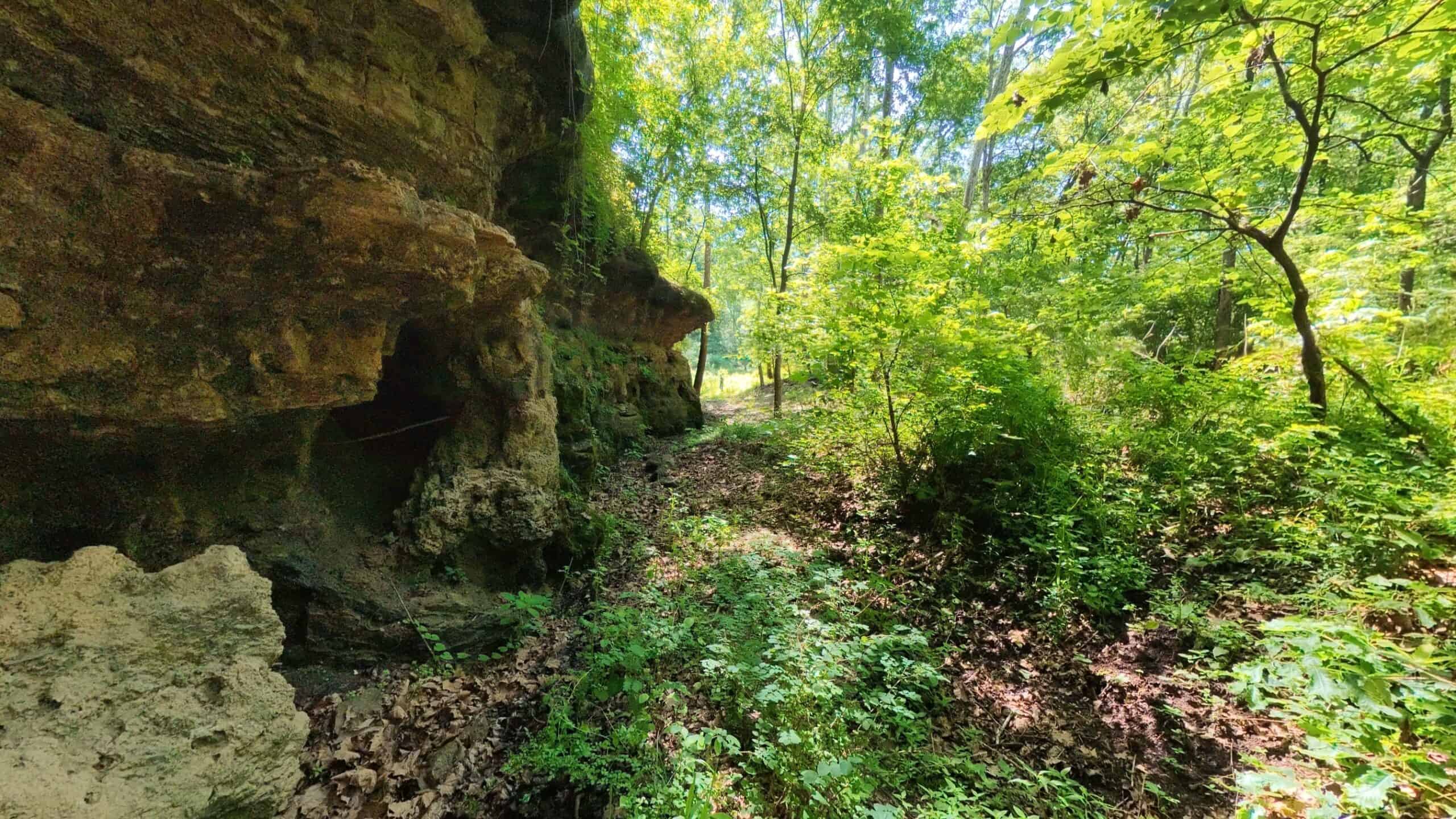 Missouri Hunting Property Bordering National Forest