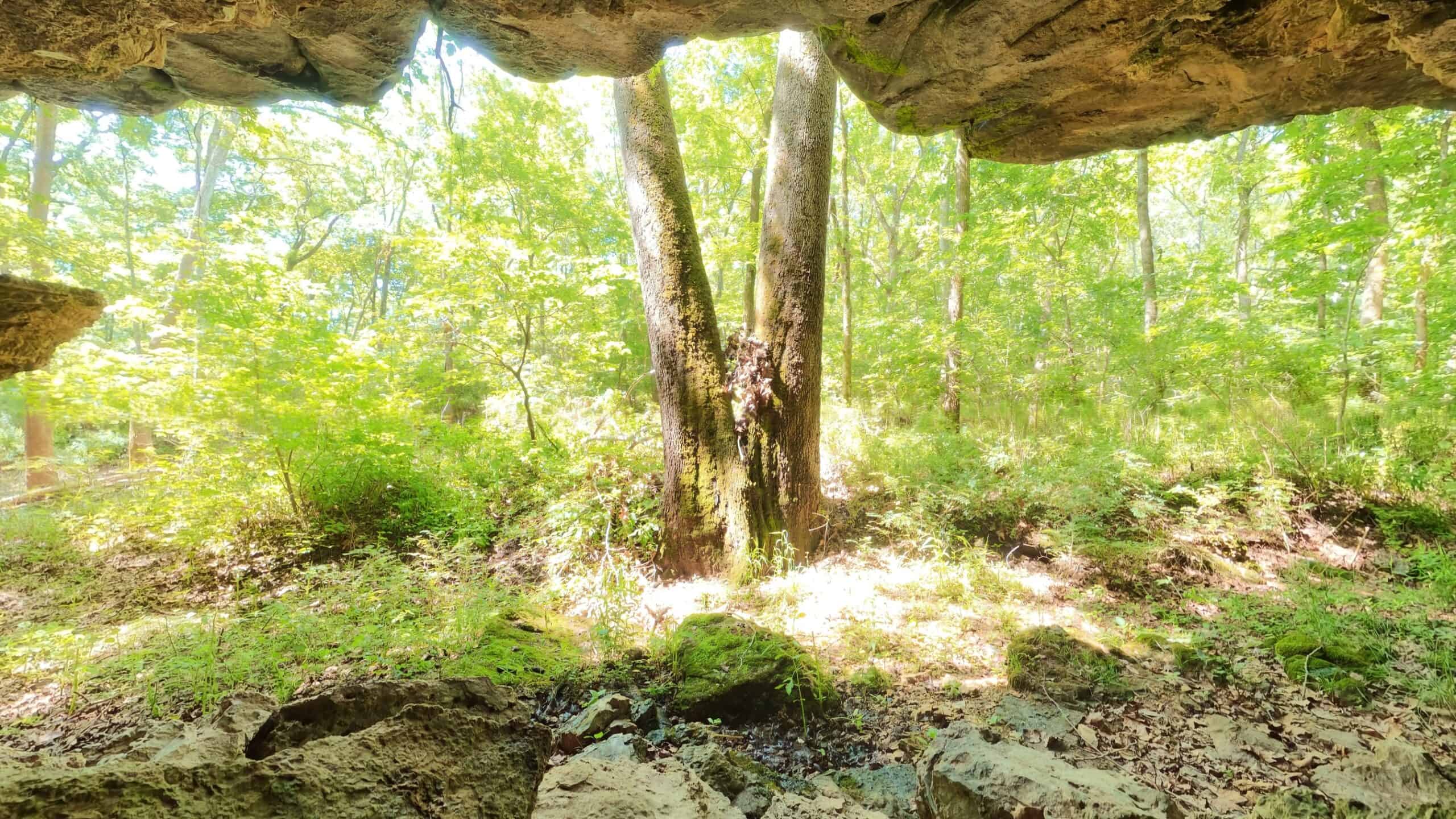 Missouri Hunting Property Bordering National Forest