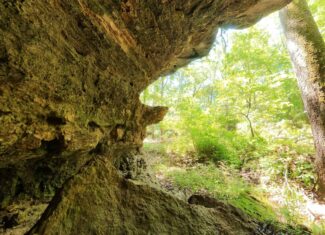 Missouri Hunting Property Bordering National Forest