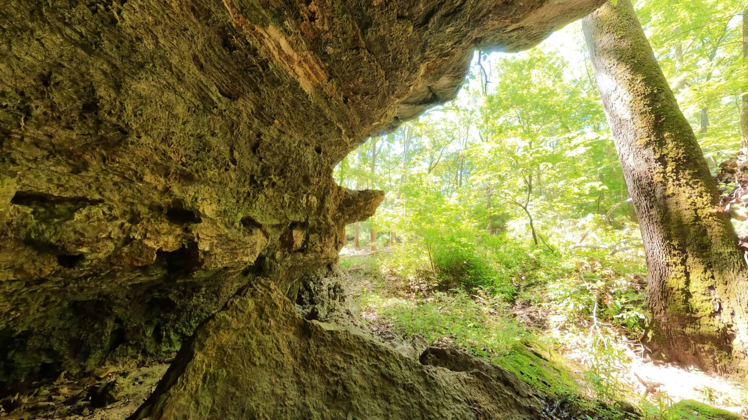 Missouri Hunting Property Bordering National Forest