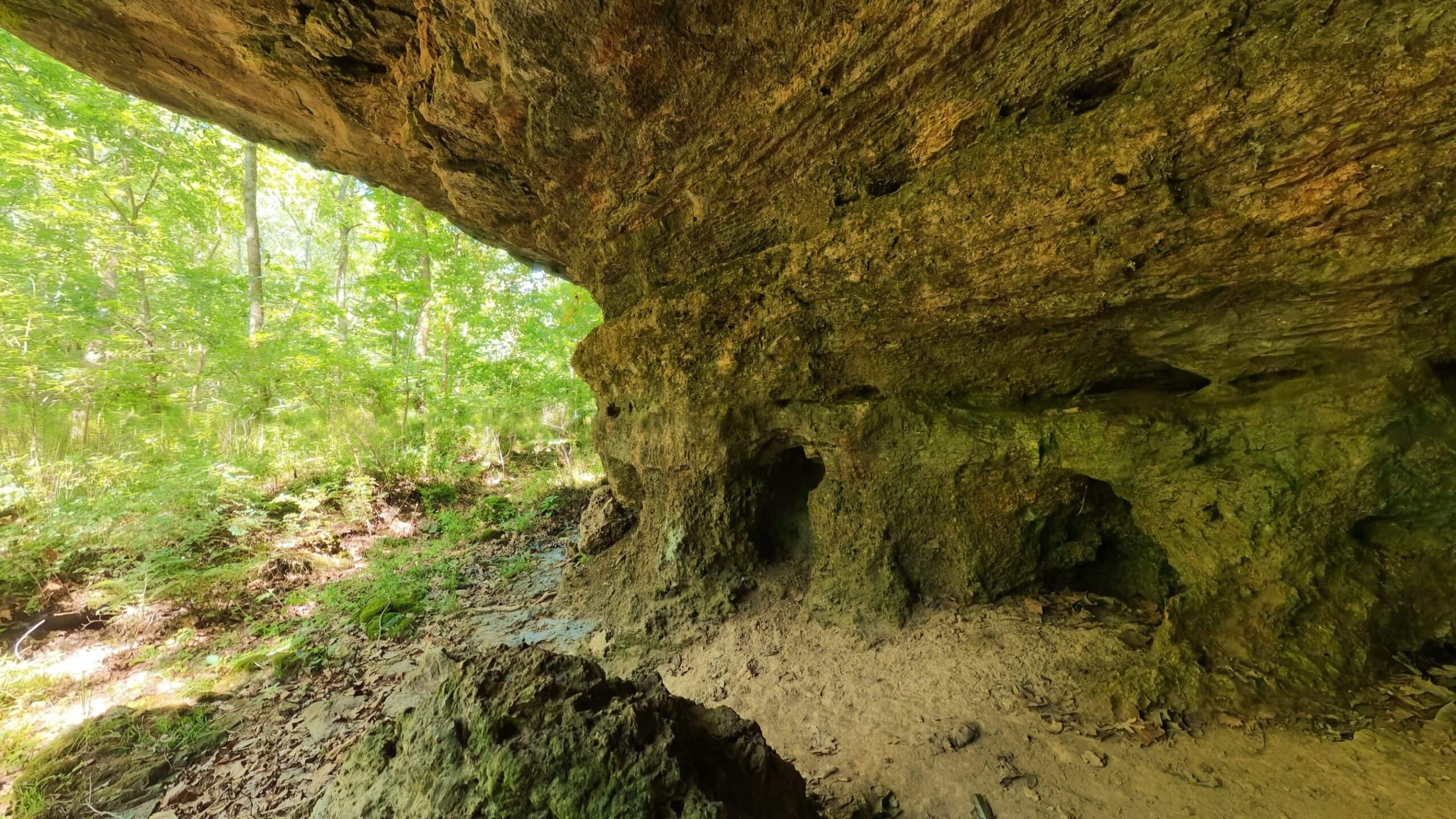 Missouri Hunting Property Bordering National Forest
