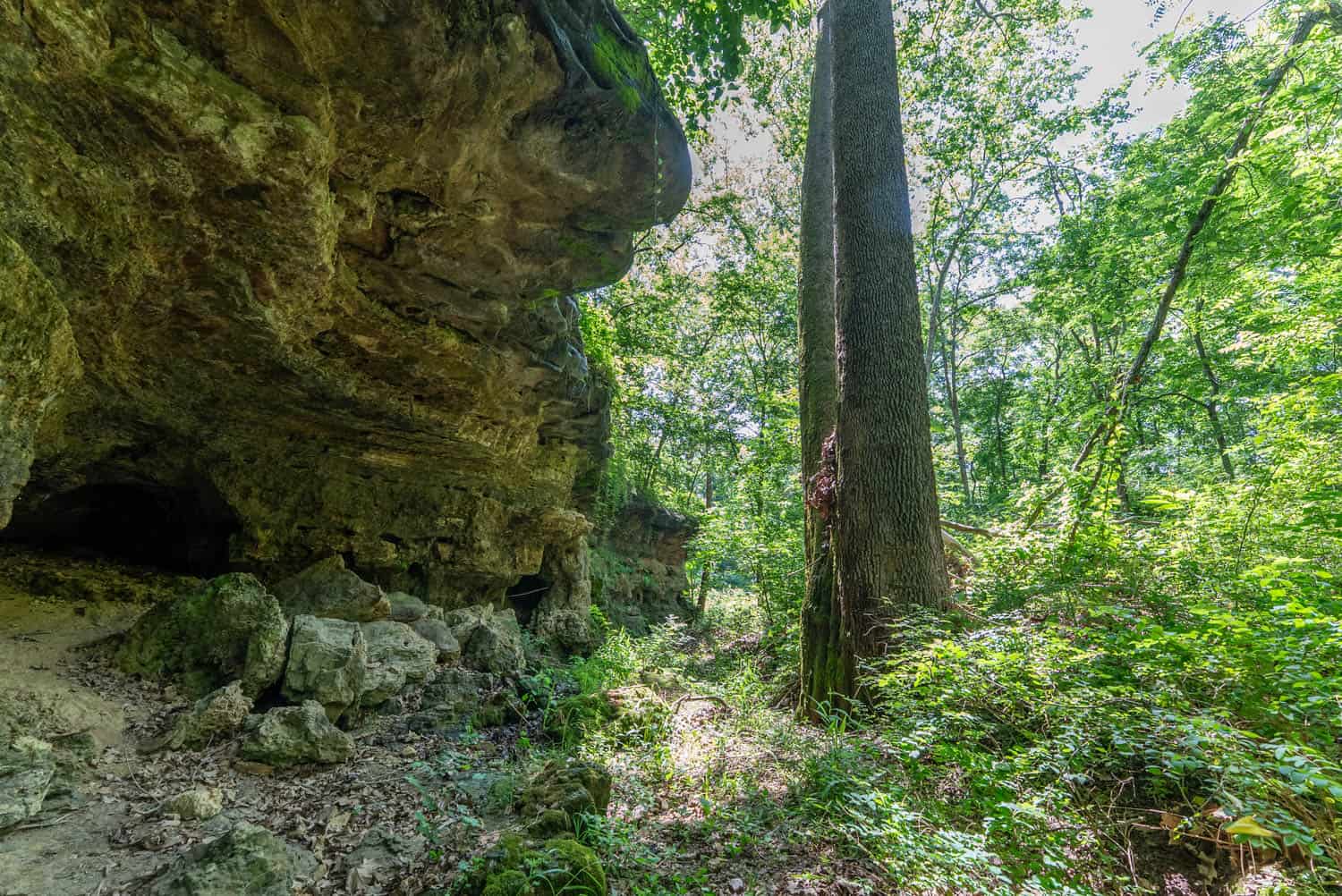 Missouri Hunting Property Bordering National Forest
