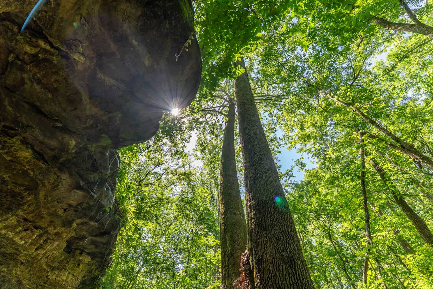 Missouri Hunting Property Bordering National Forest