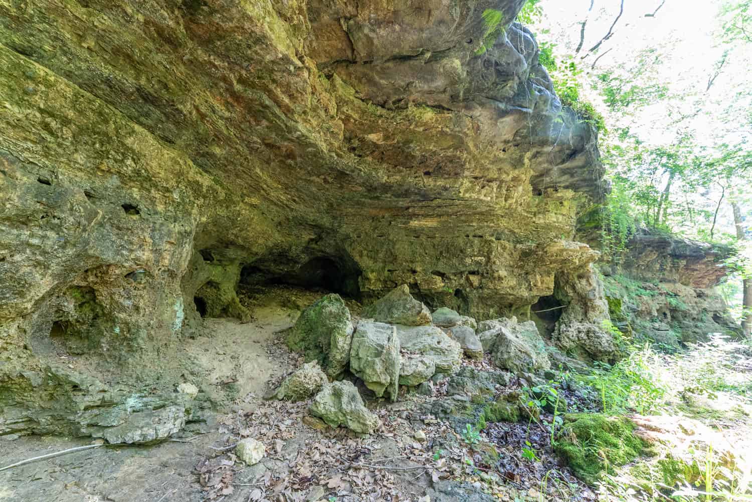 Missouri Hunting Property Bordering National Forest