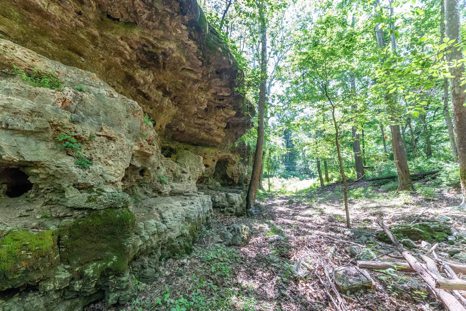 Missouri Hunting Property Bordering National Forest