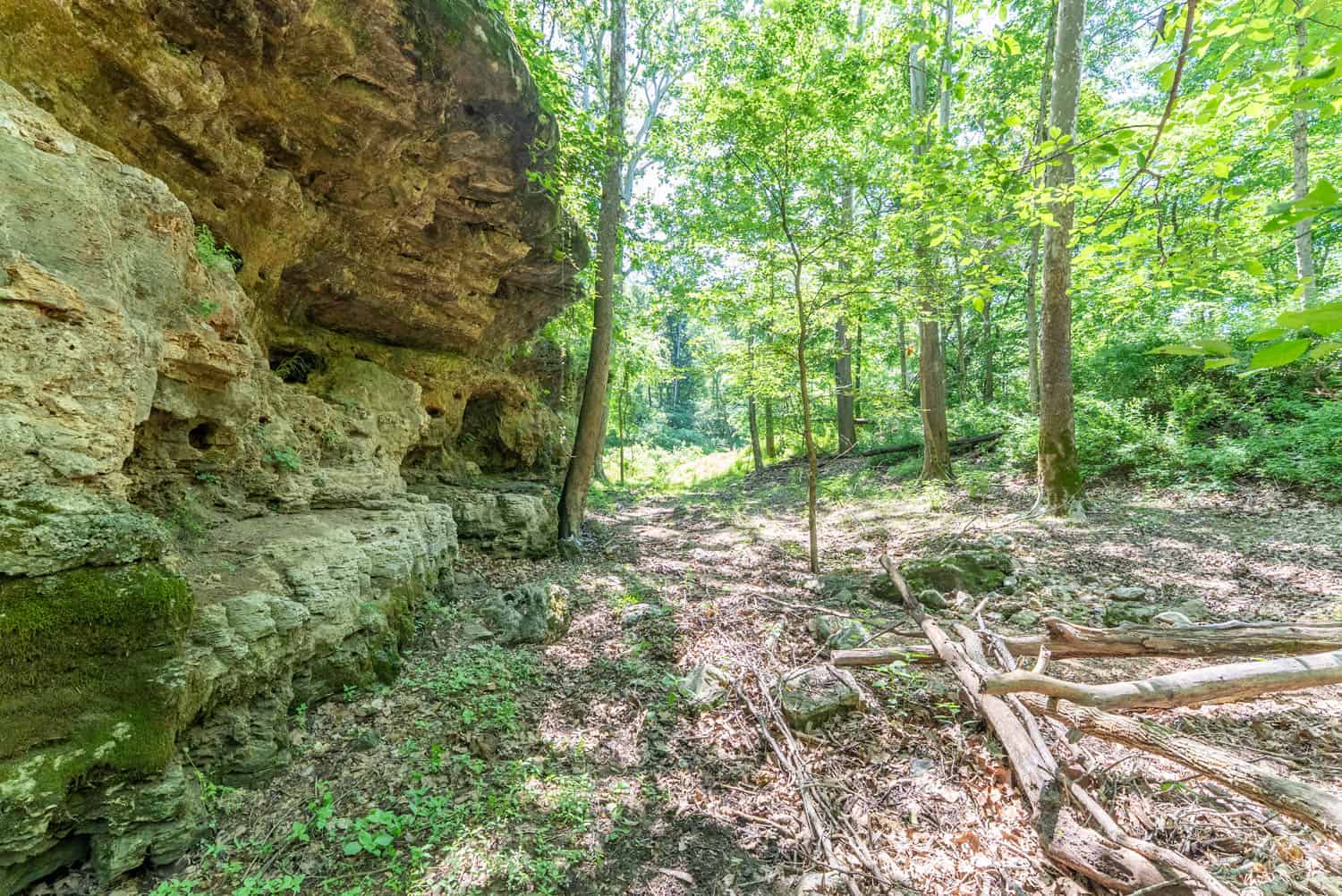 Missouri Hunting Property Bordering National Forest