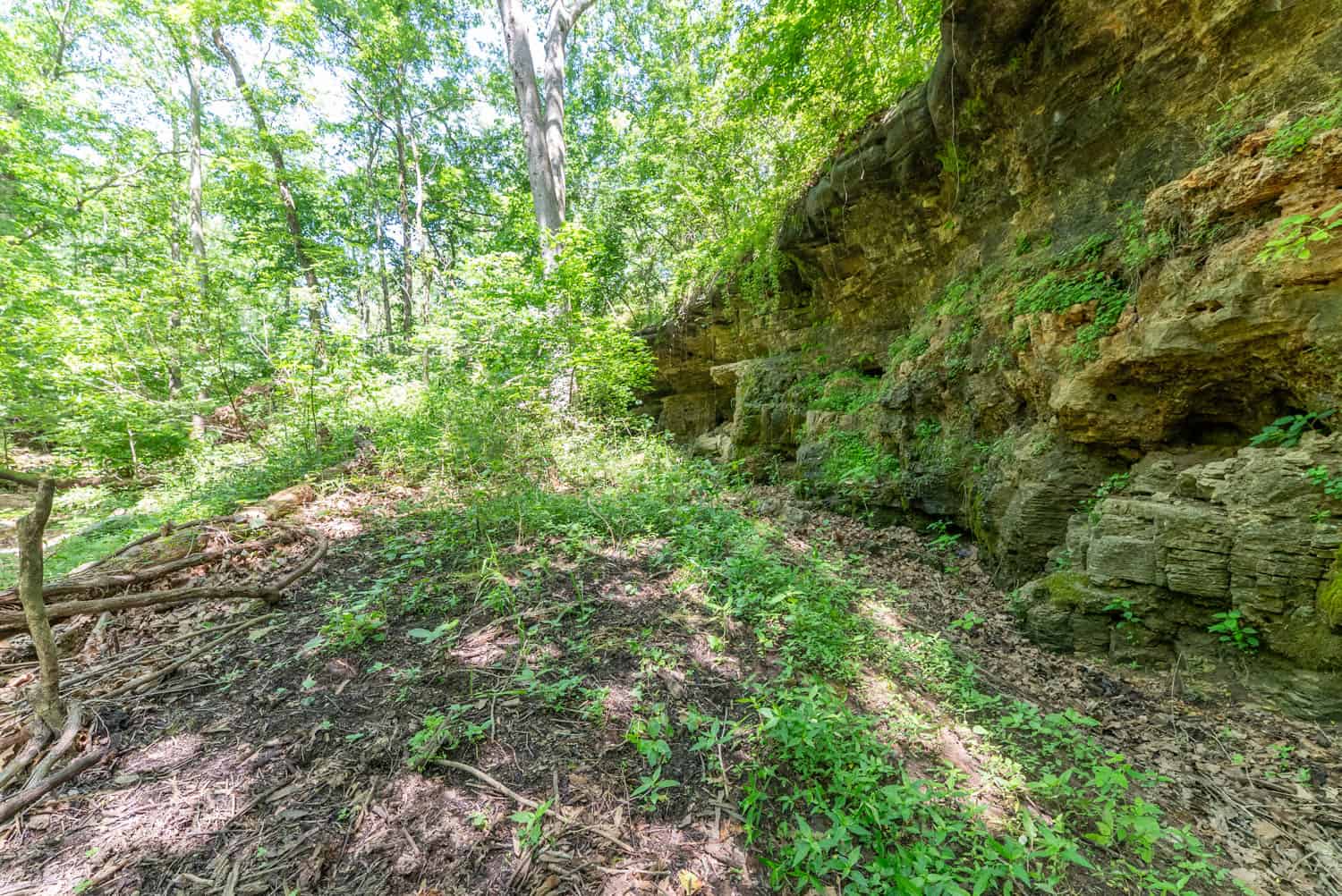 Missouri Hunting Property Bordering National Forest