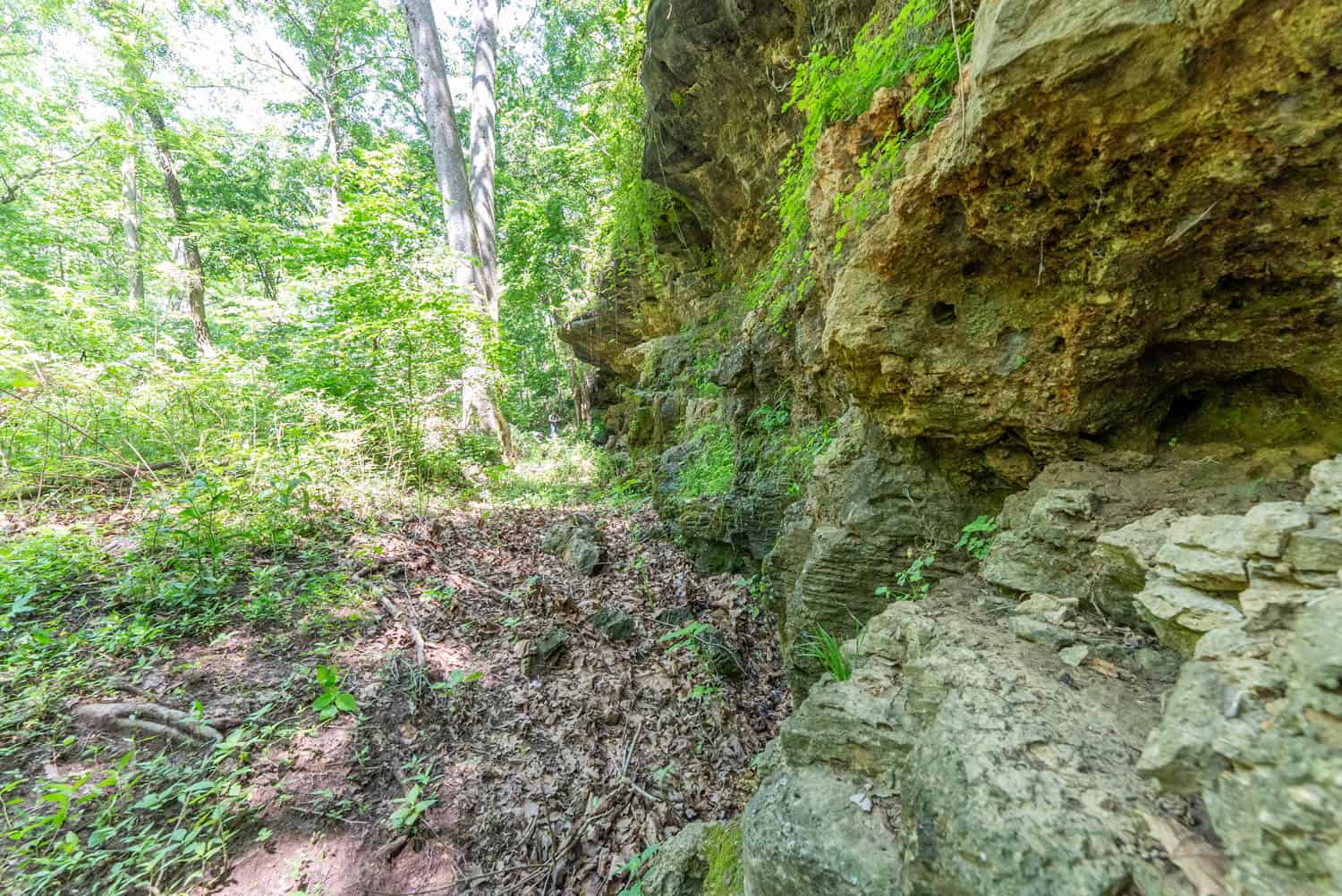 Missouri Hunting Property Bordering National Forest