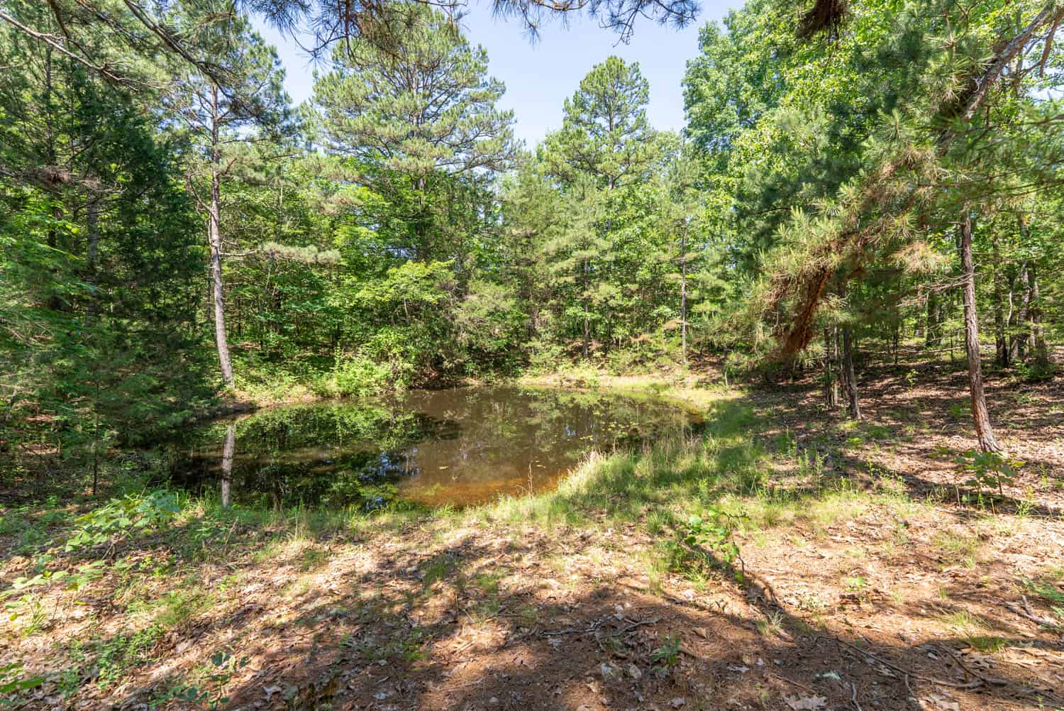 Missouri Hunting Property Bordering National Forest