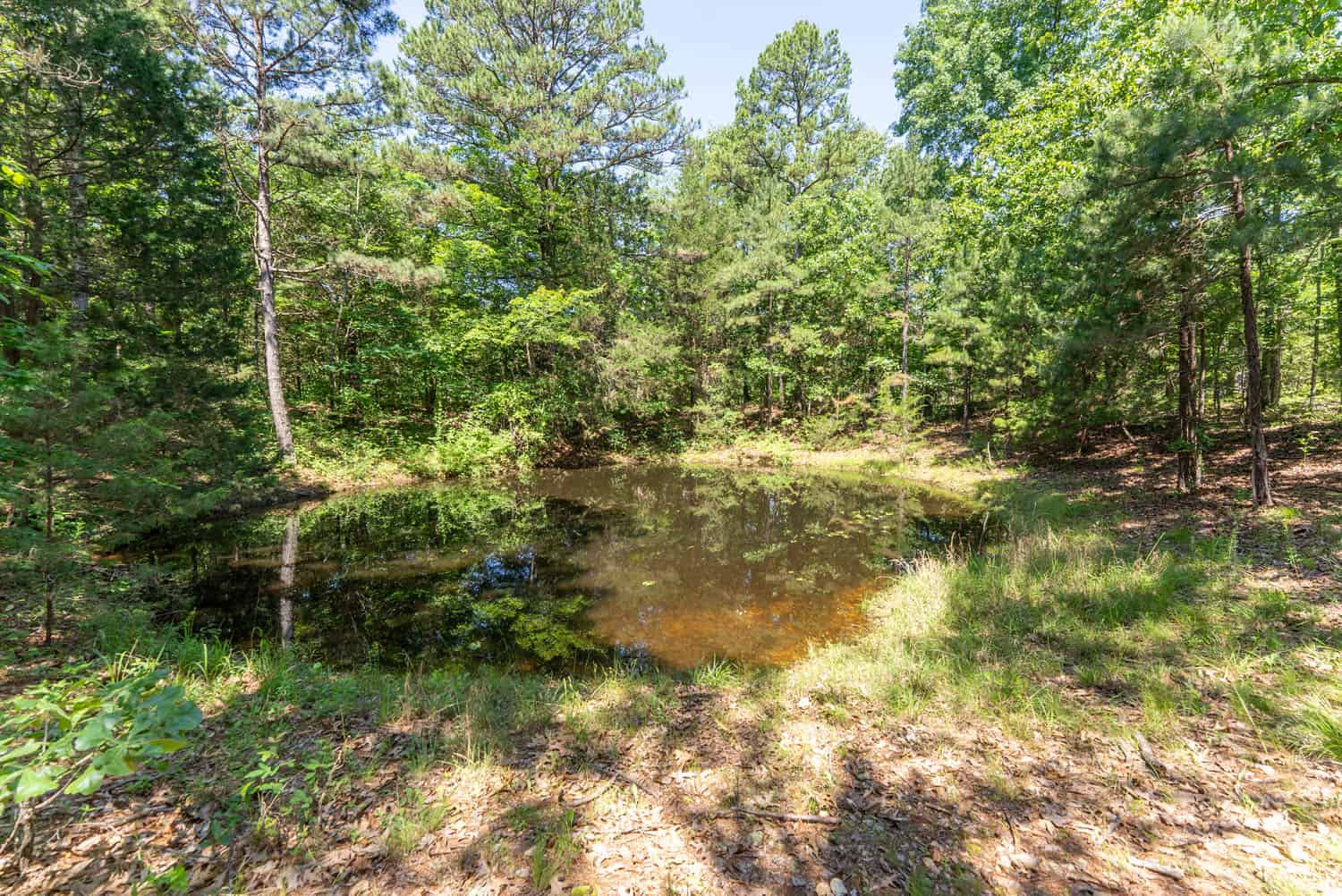 Missouri Hunting Property Bordering National Forest