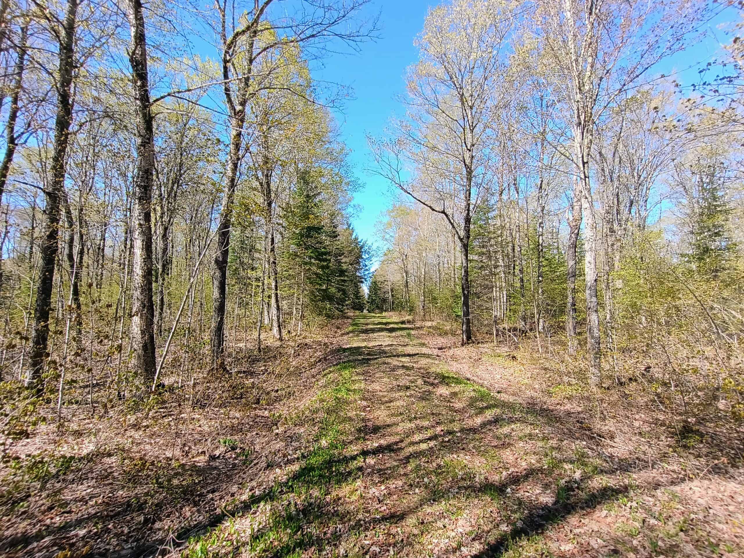 40 Acres Surrounded by 300,000 Acres of Public Land