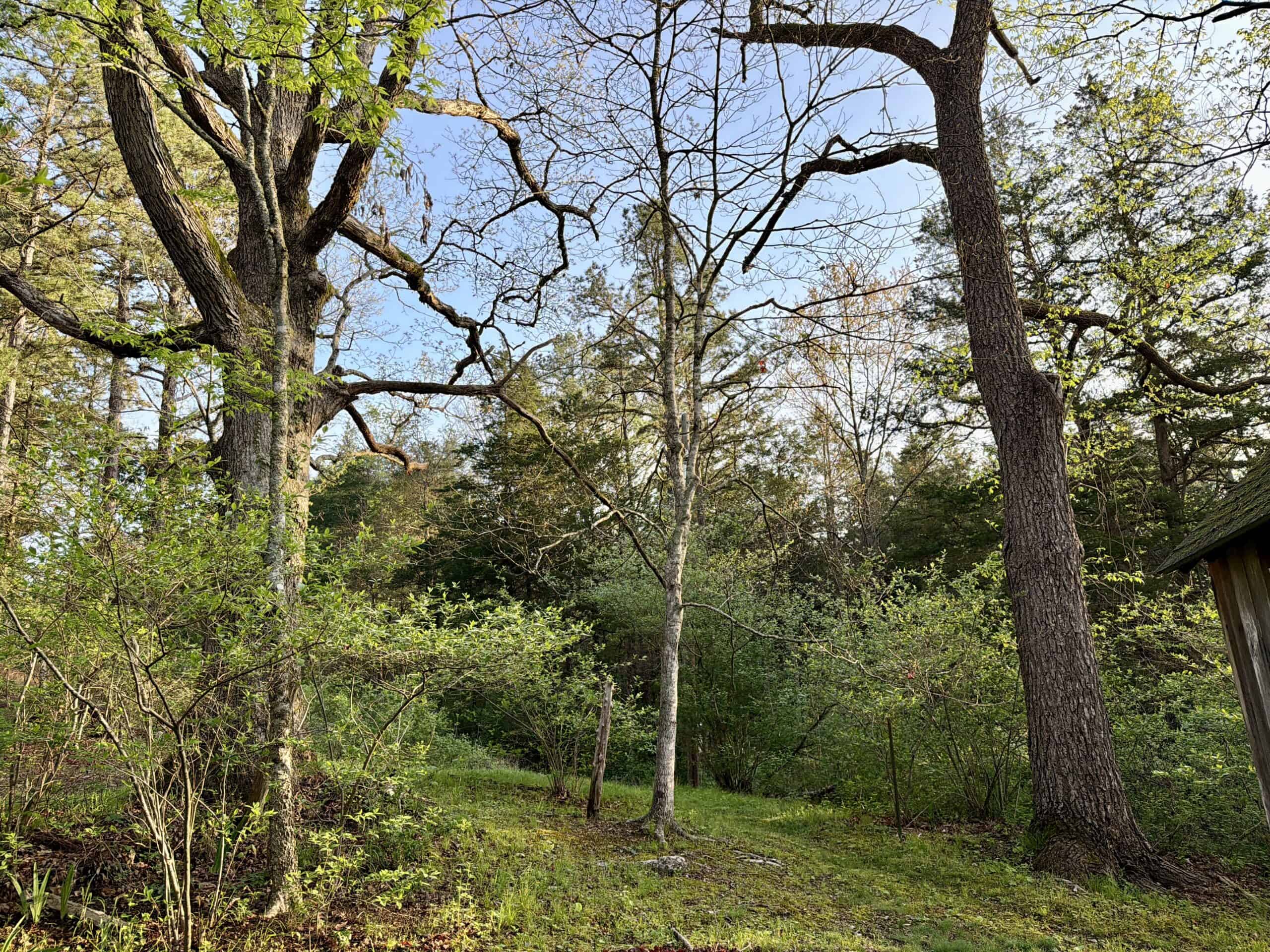 Land for Sale in the Missouri Ozark Mountains