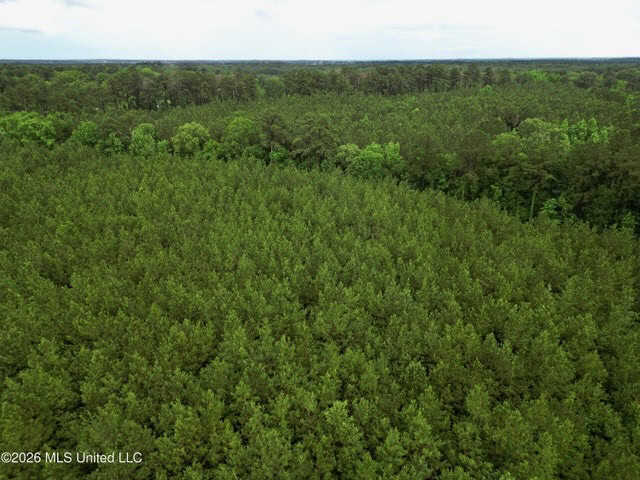 Land for Sale in Brookhaven, MS