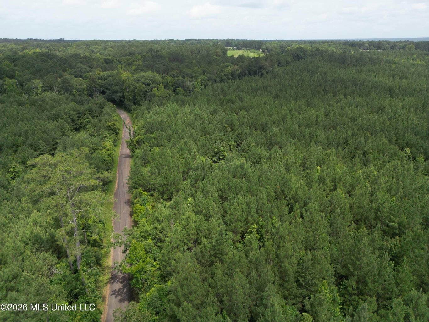 70+- Acres of Plantation Pines Pike County MS