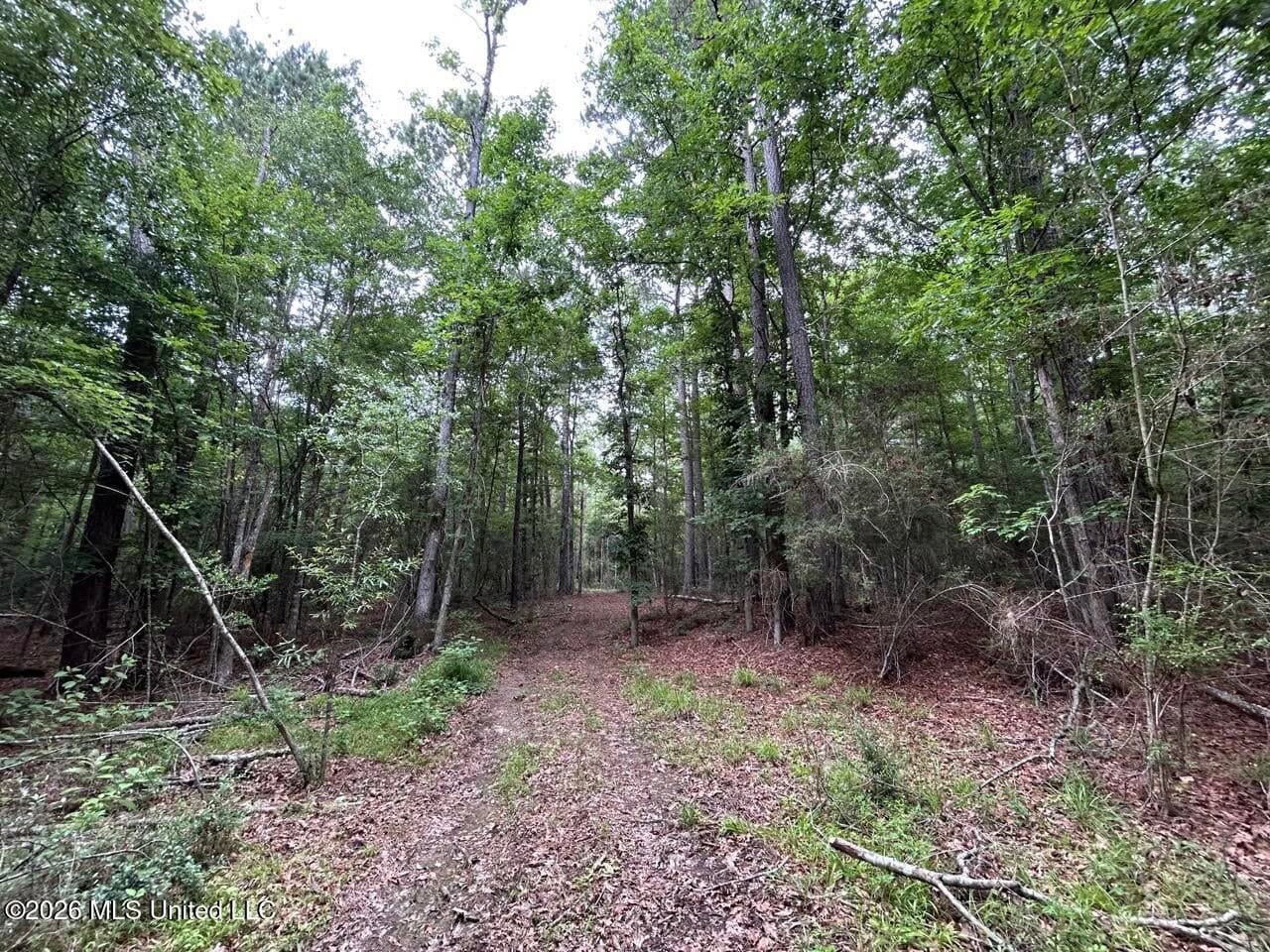 120± Acres for Sale in Osyka, MS on Tickfaw River