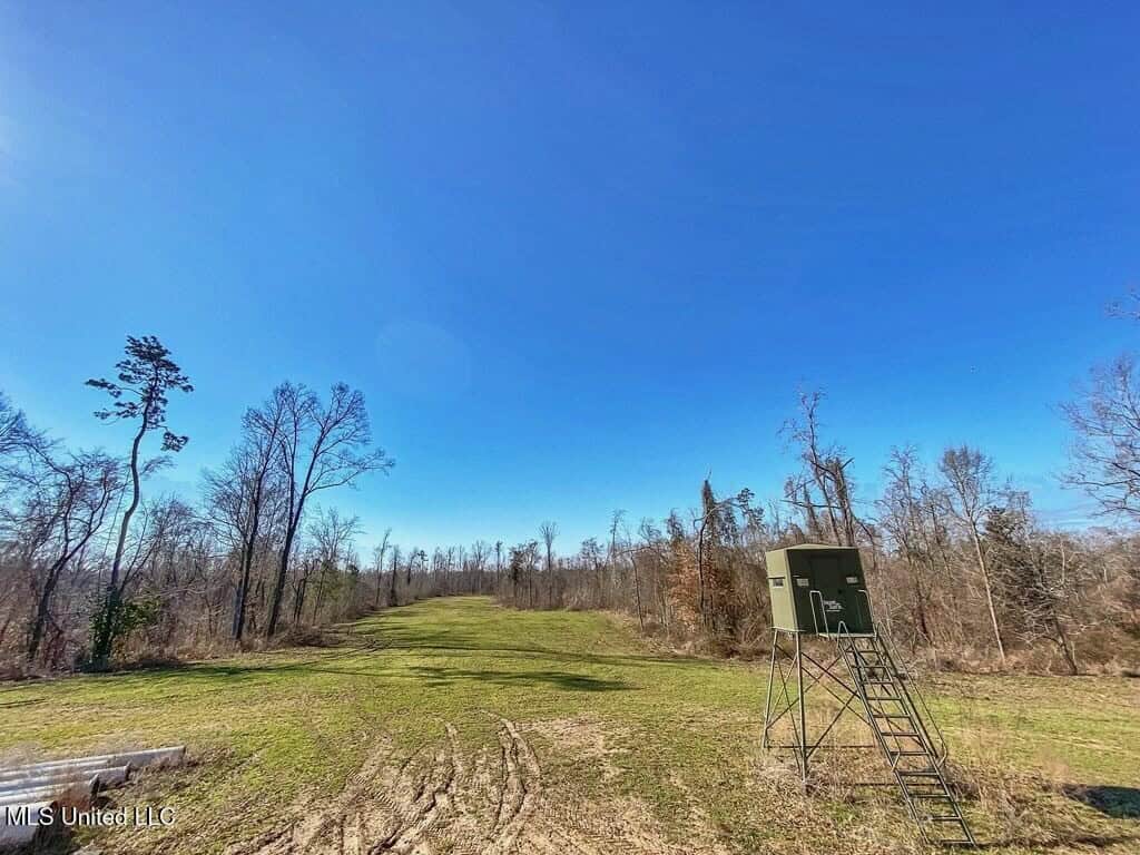 Jefferson County, MS Hunting Club Ownership Share
