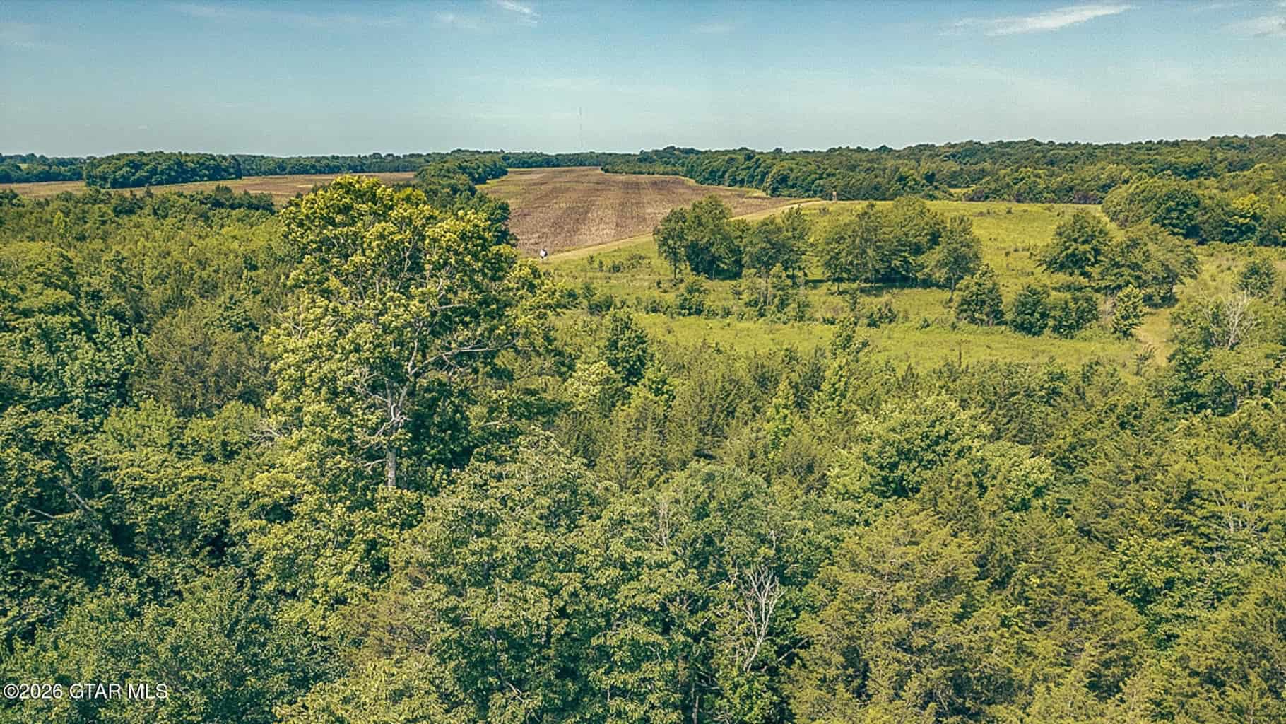 527 Acres Black Belt Prairie Clay County MS