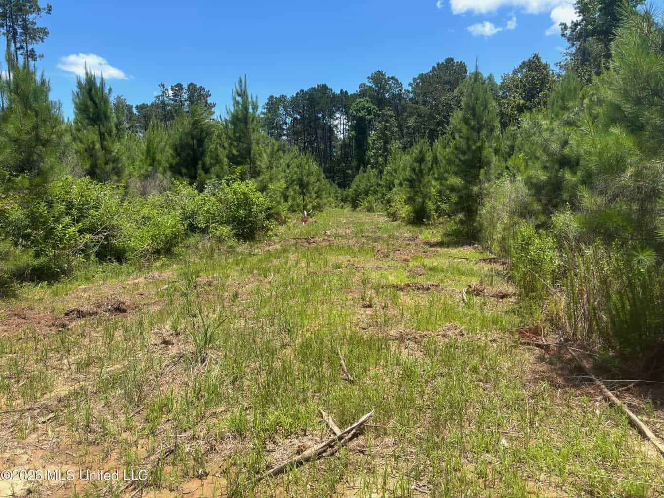 Wilkinson County MS Hunting Land for Sale