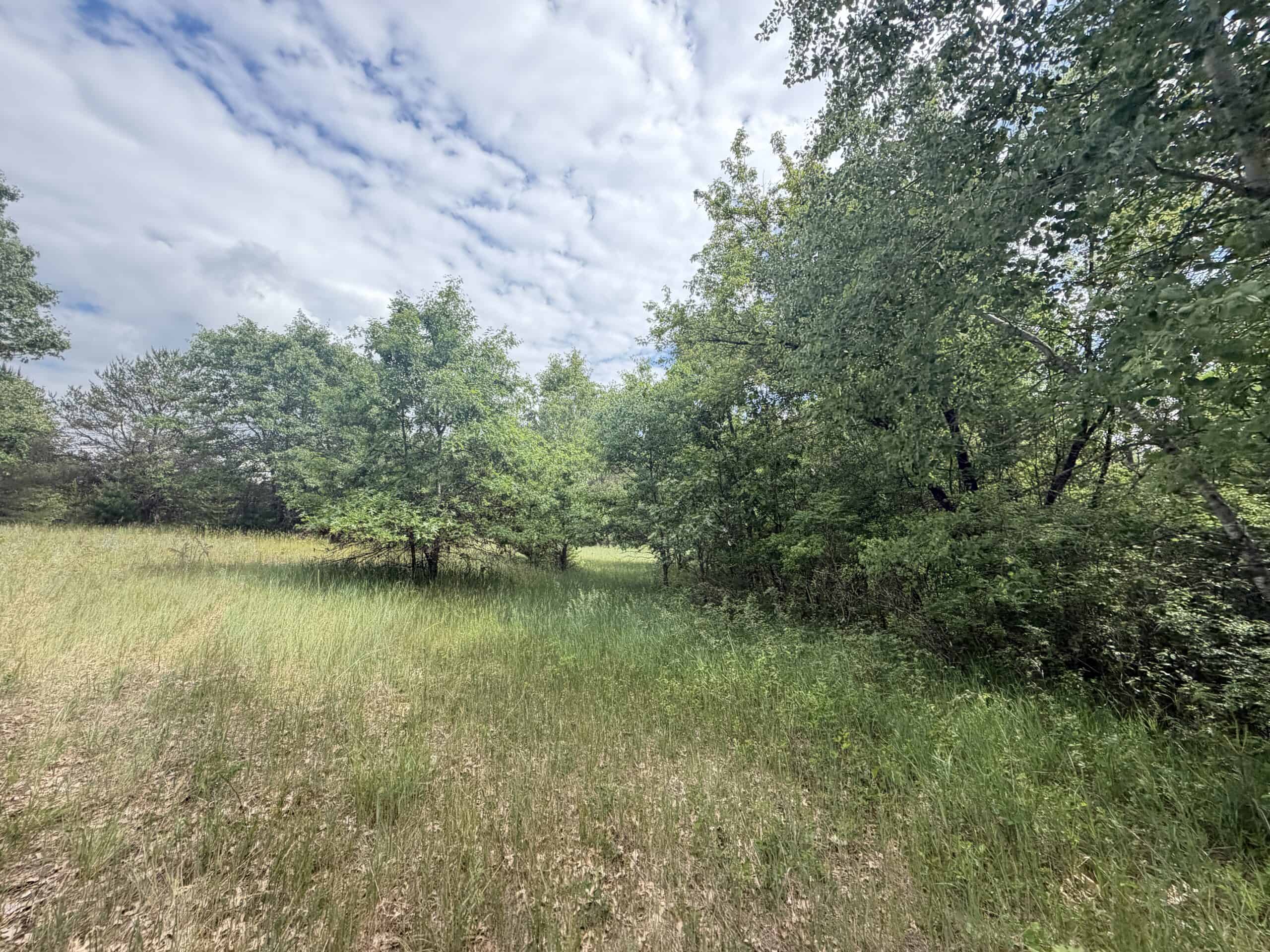 Forty acres in Adams County located in the Town of Strongs Prairie