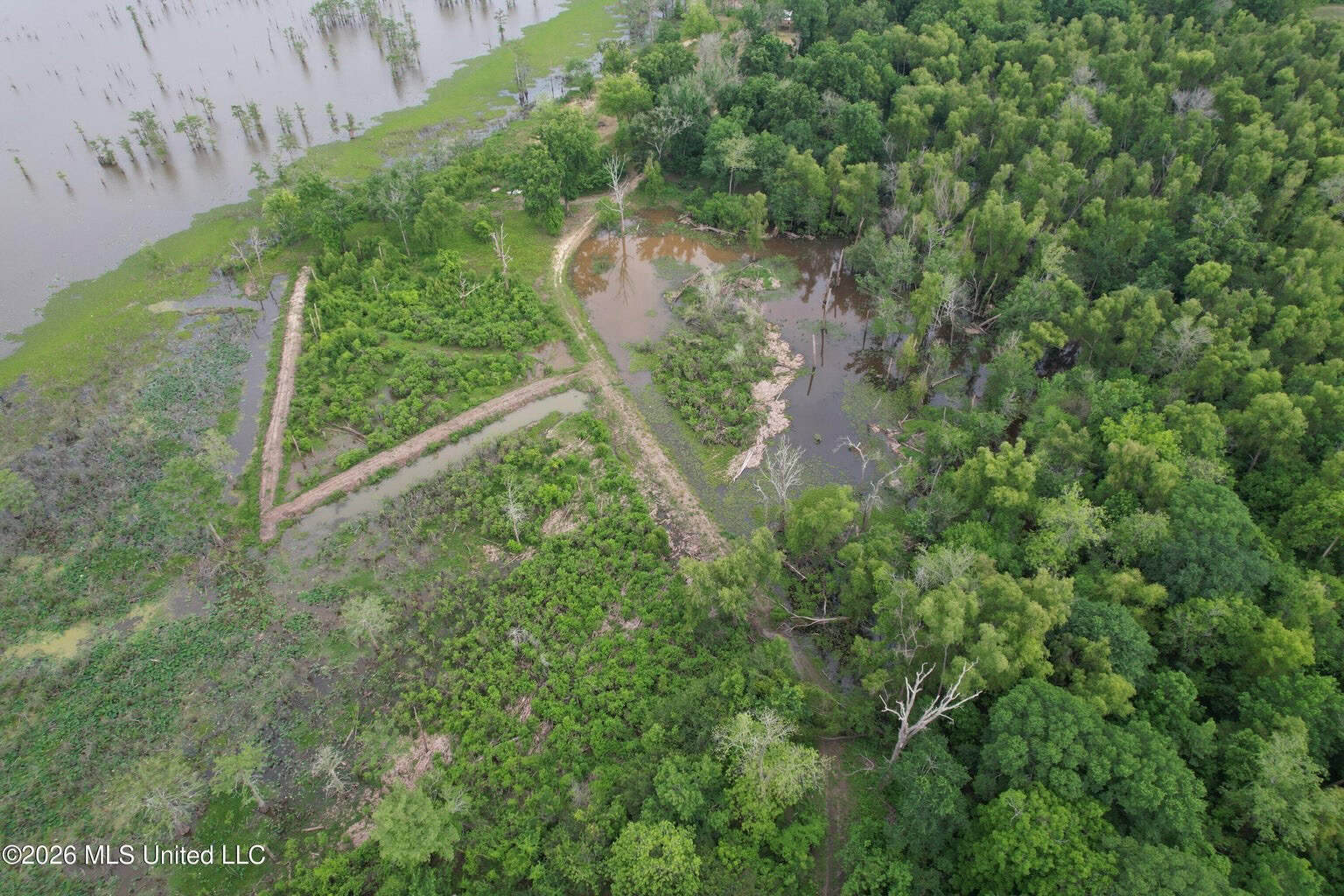 88 Acre Hunting Property – Wilkinson County, MS