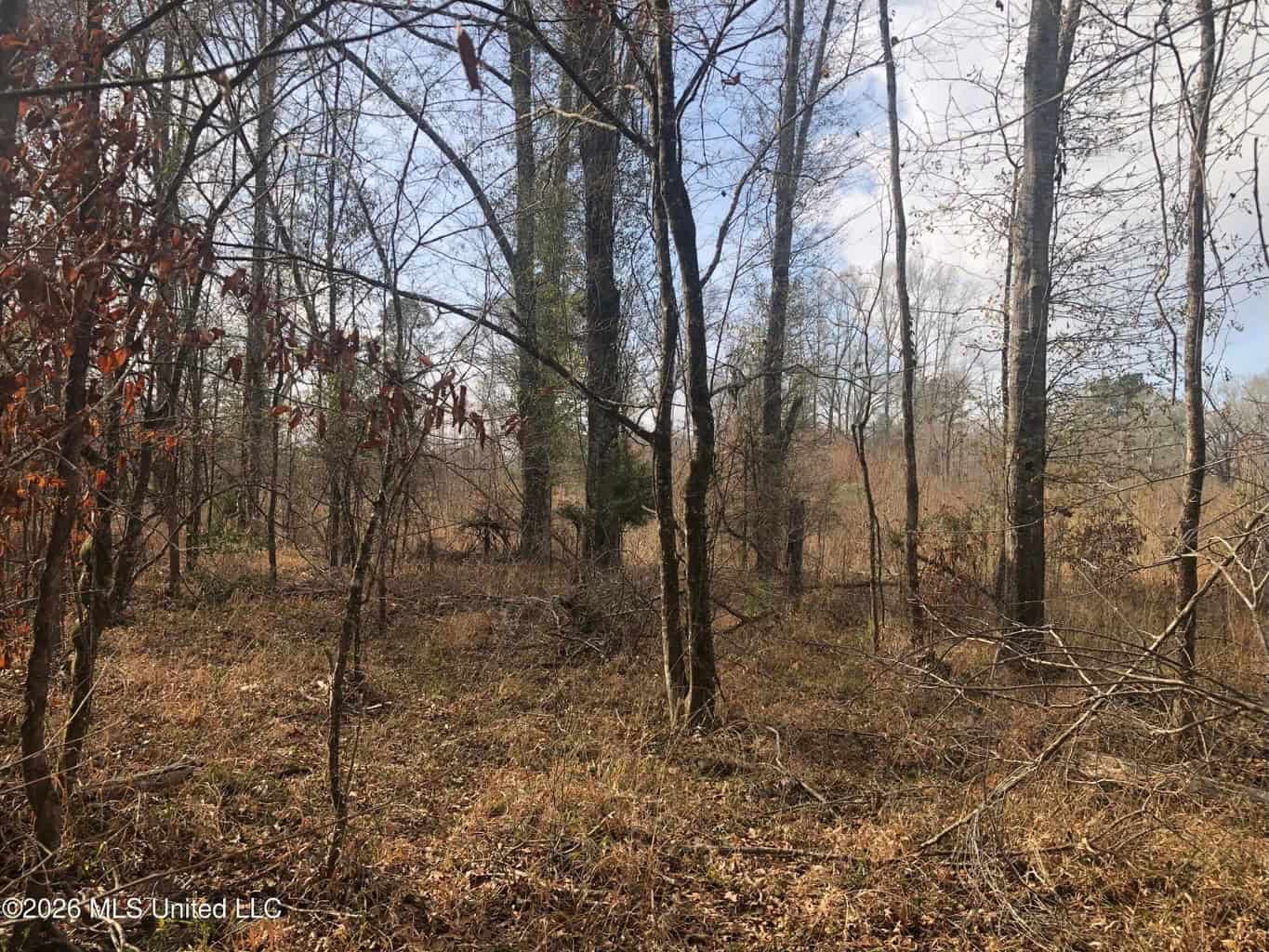88.5 acres Hunting & Timber Land for Sale in Utica, Ms
