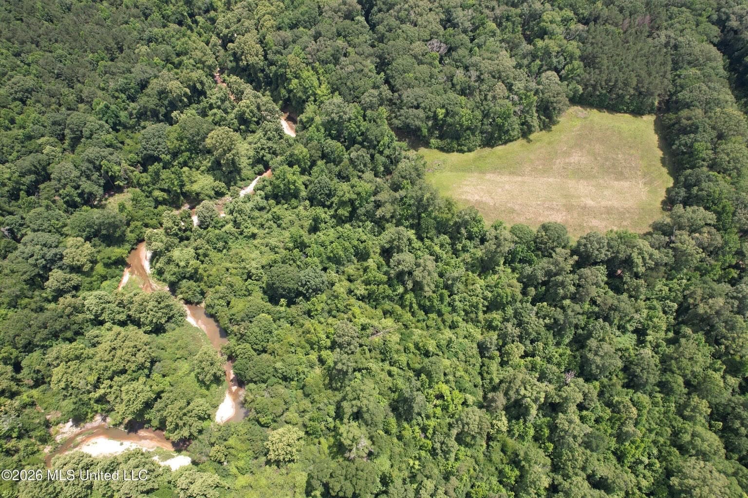 44 Acre Hunting Land in Wilkinson County, MS
