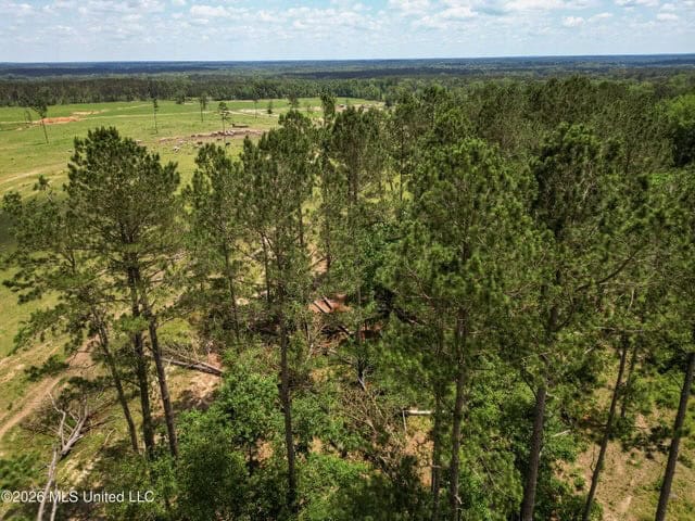 Pasture Land for Sale in Lincoln County, MS