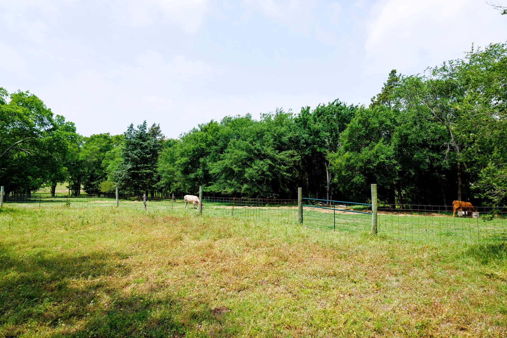 47.79-Acre Hunting Land with Cabin for Sale Ben Wheeler TX