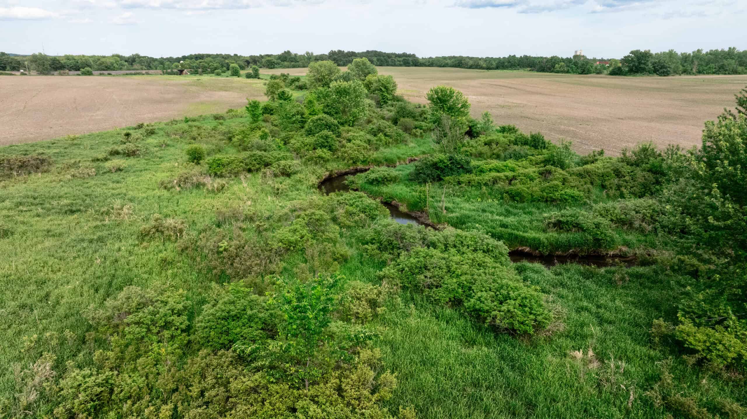 Online Auction 125± Acres of Farmland, Recreation & Investment Property