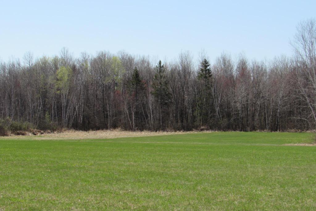 Hunting Land For Sale in Willow River, Minnesota