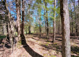 40 Acres Surrounded by 300,000 Acres of Public Land