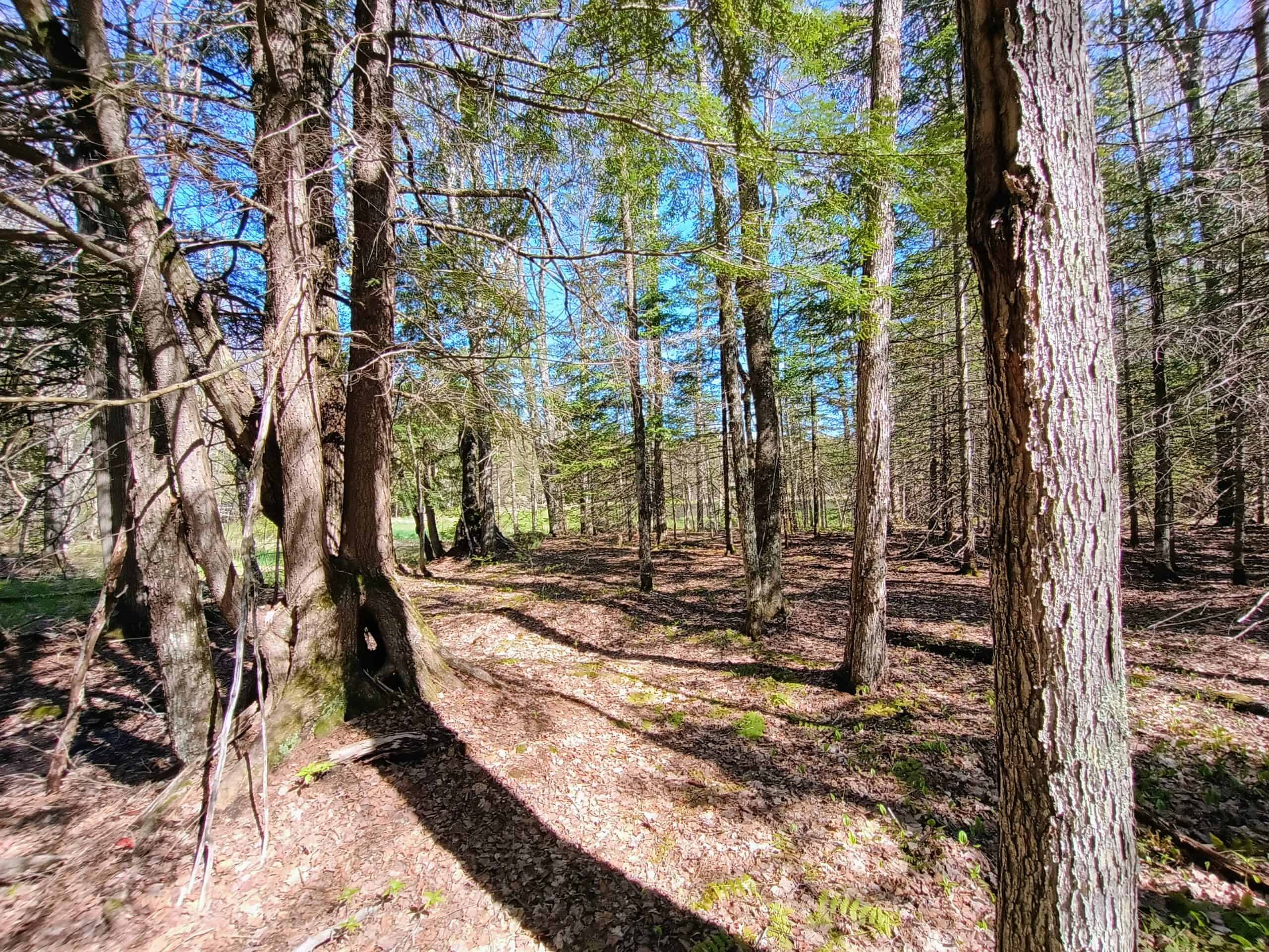 40 Acres Surrounded by 300,000 Acres of Public Land