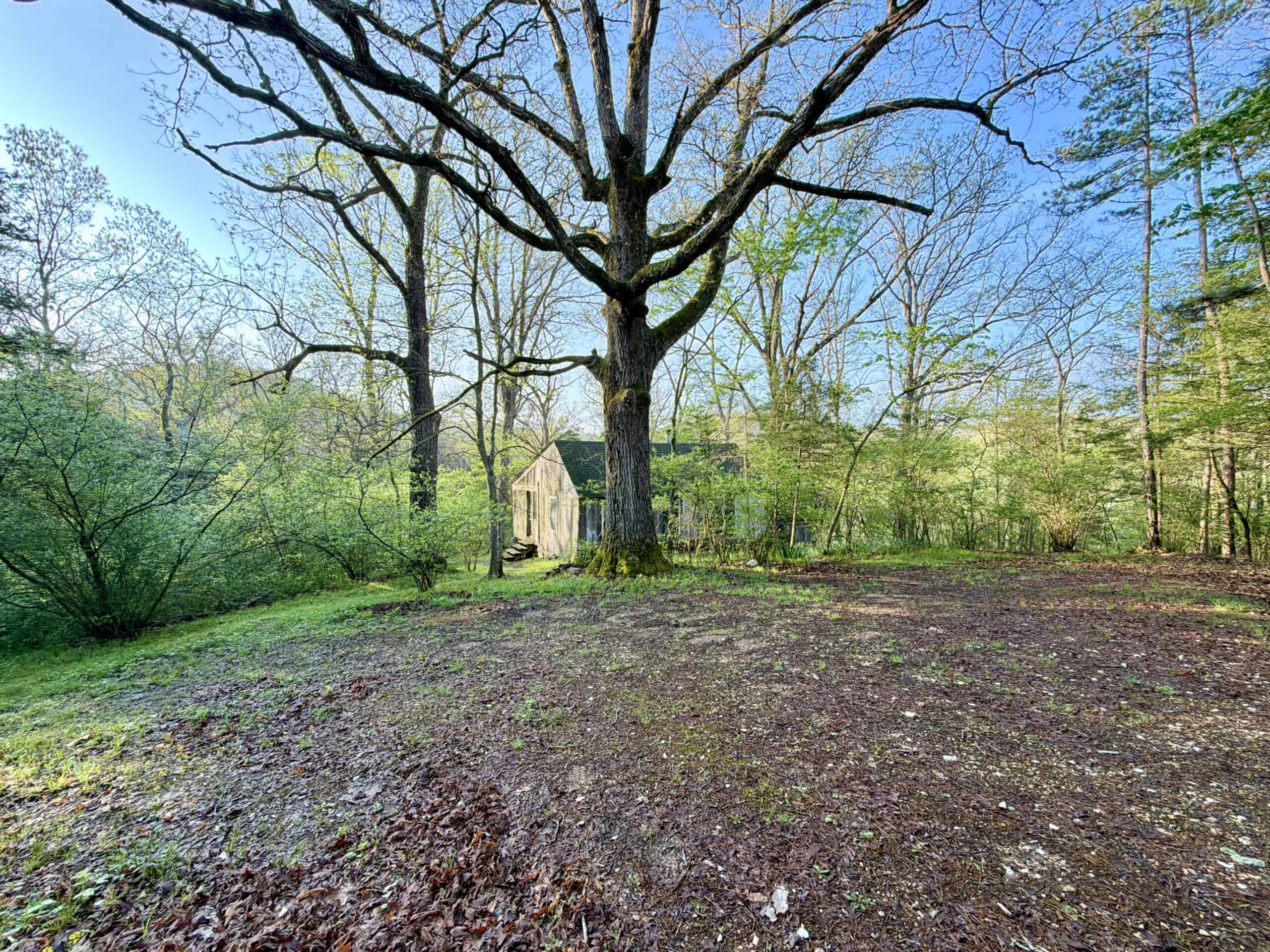 Land for Sale in the Missouri Ozark Mountains
