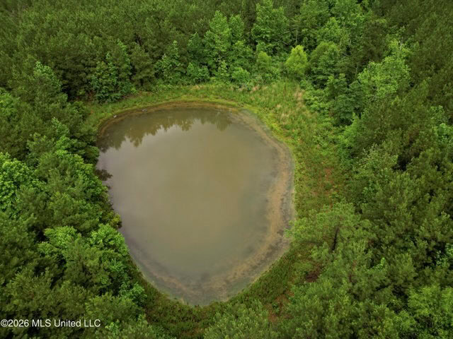 Land for Sale in Brookhaven, MS