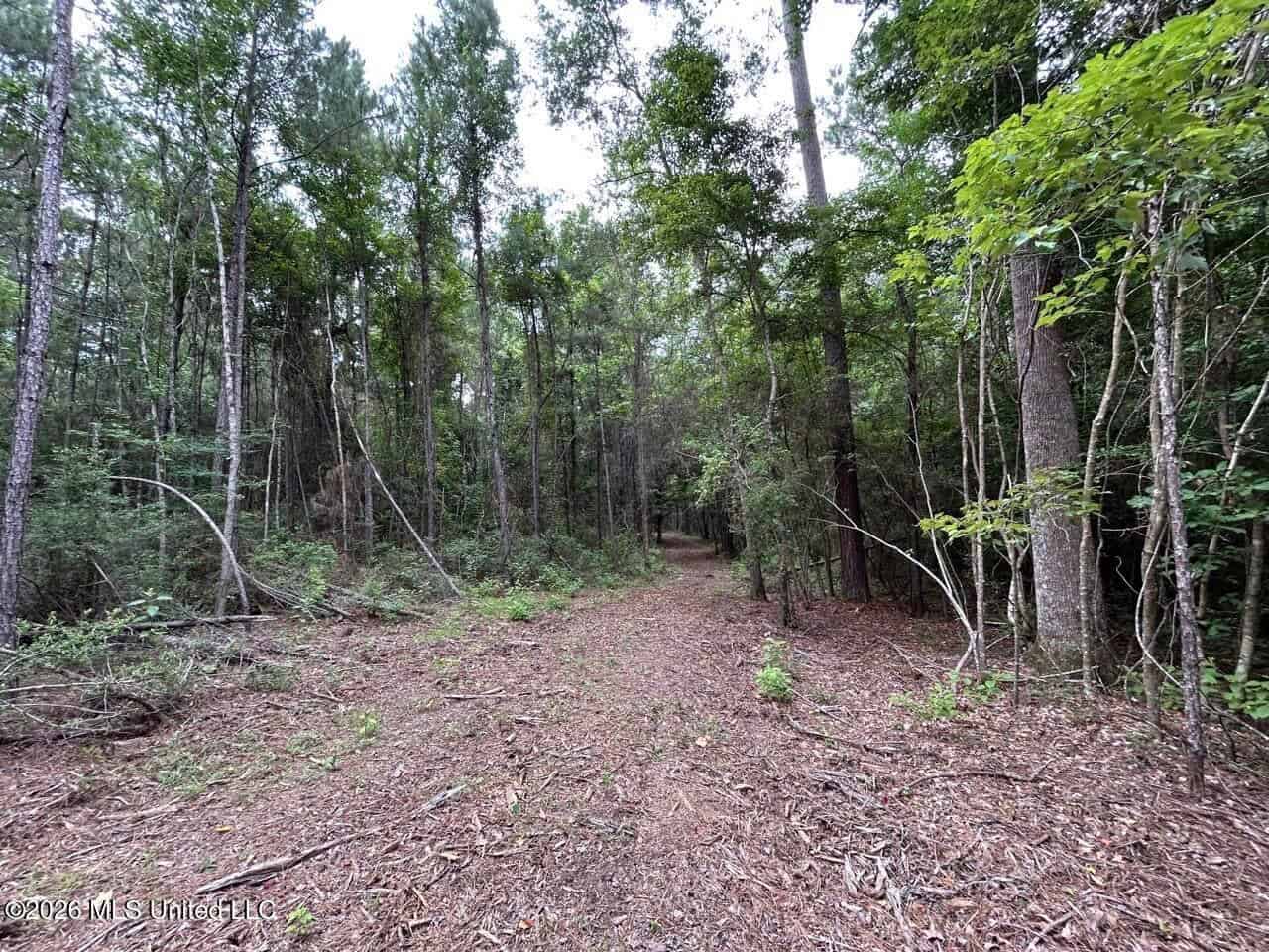 120± Acres for Sale in Osyka, MS on Tickfaw River