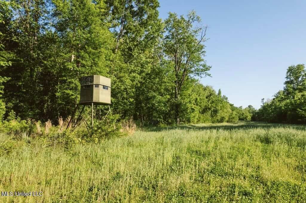 Jefferson County, MS Hunting Club Ownership Share