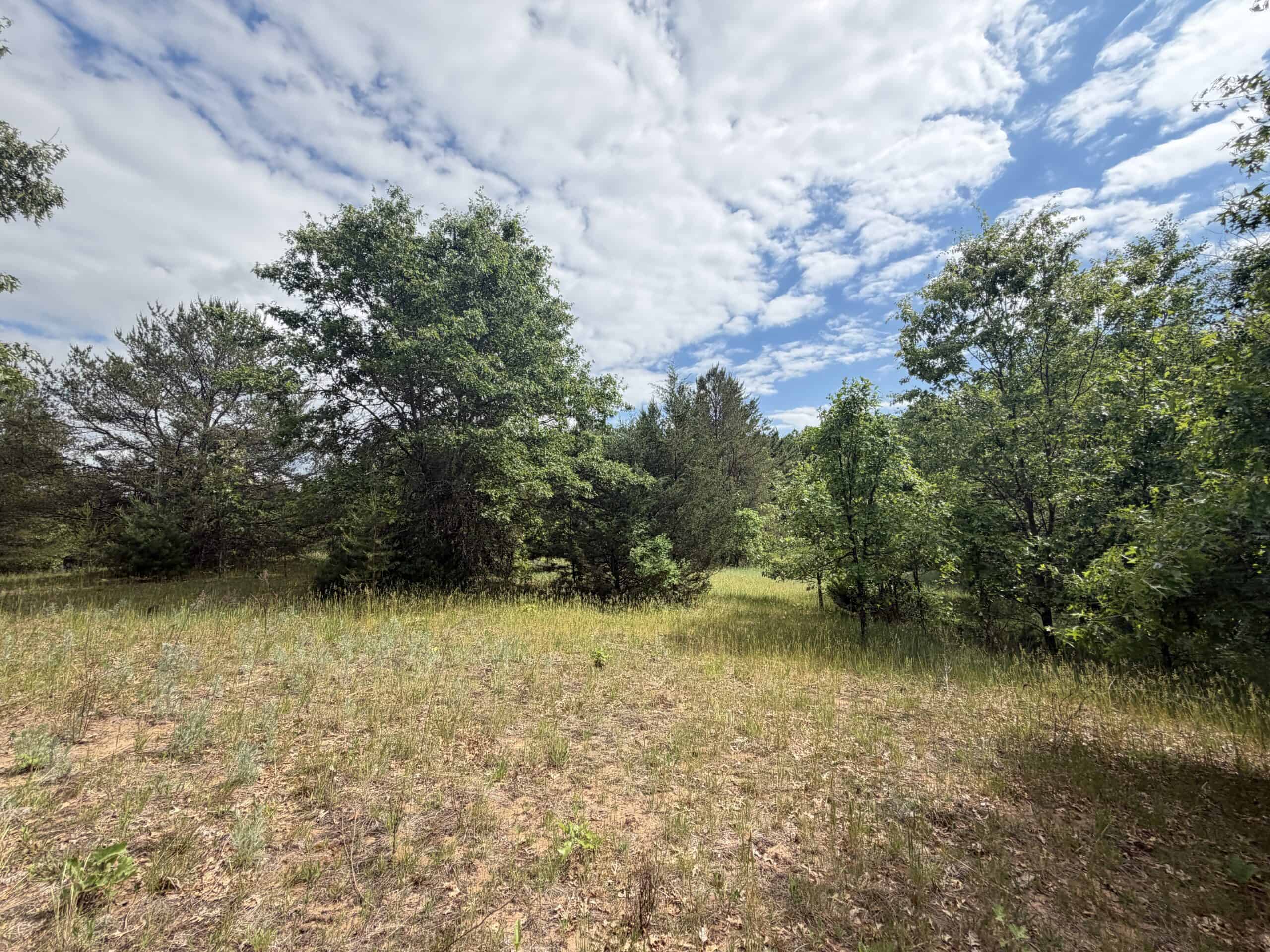 Forty acres in Adams County located in the Town of Strongs Prairie
