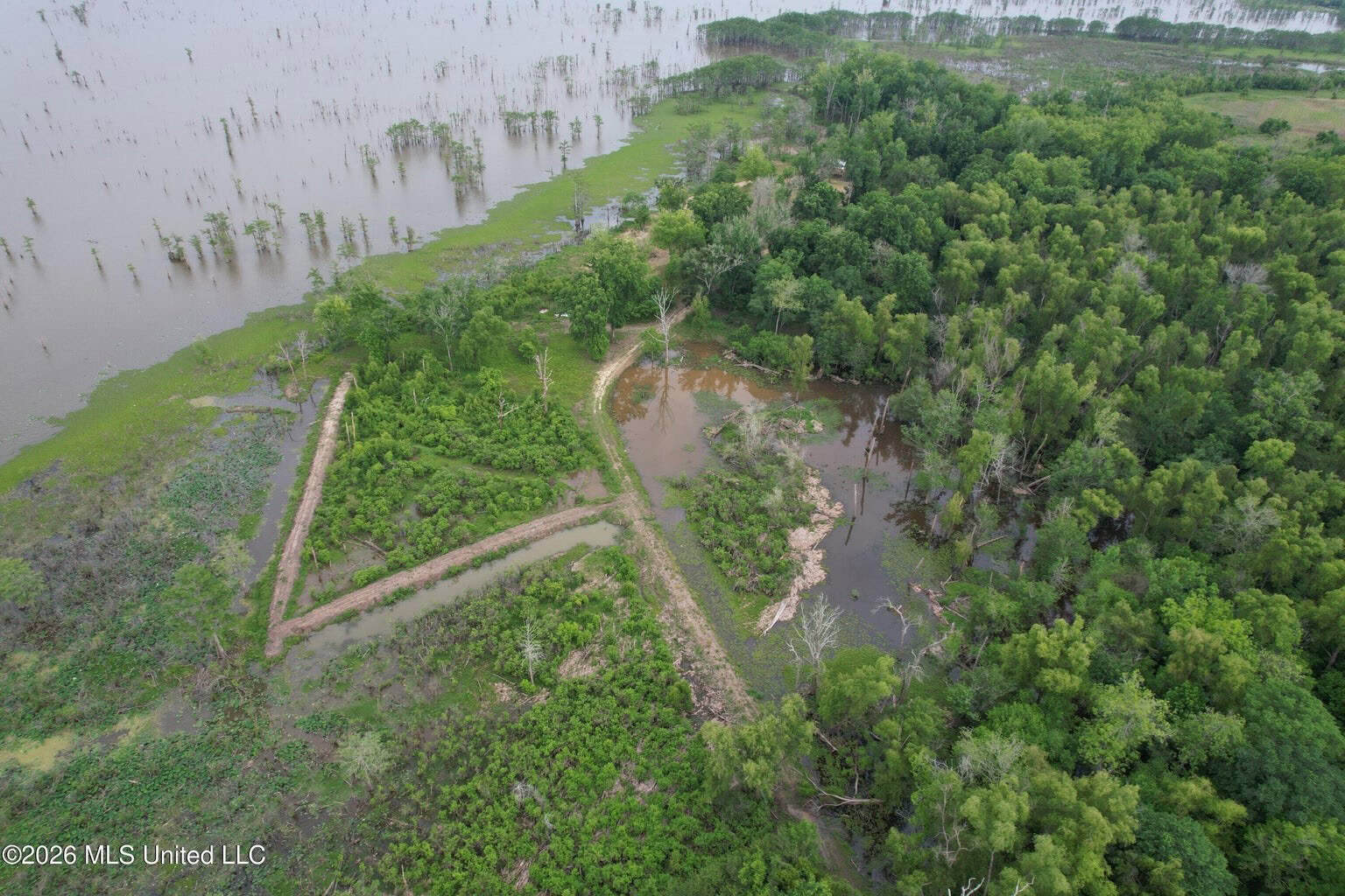 88 Acre Hunting Property – Wilkinson County, MS