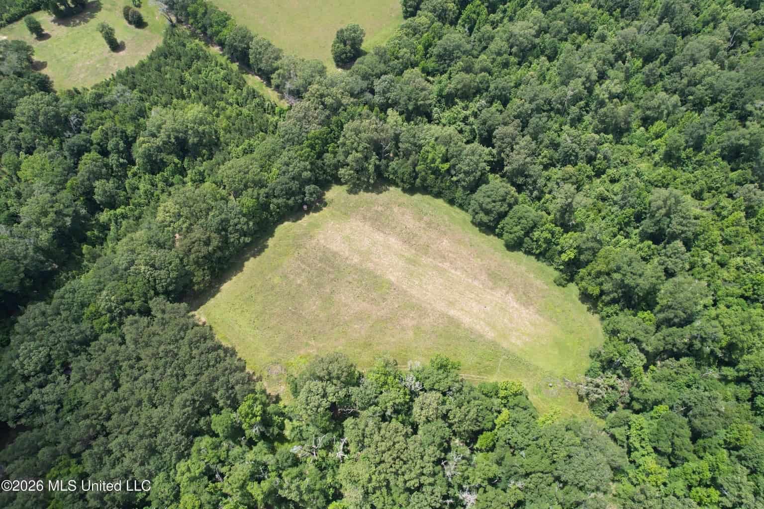 44 Acre Hunting Land in Wilkinson County, MS