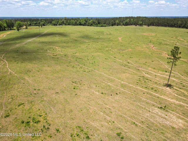 Pasture Land for Sale in Lincoln County, MS