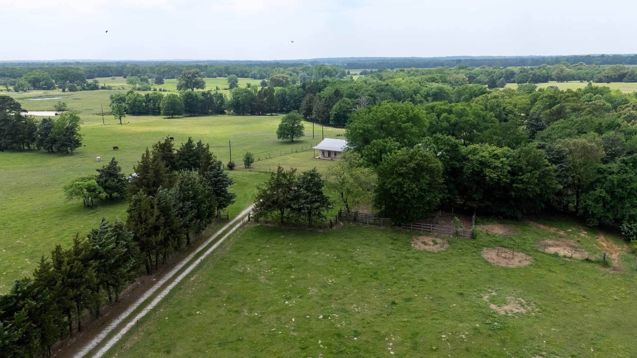 47.79-Acre Hunting Land with Cabin for Sale Ben Wheeler TX