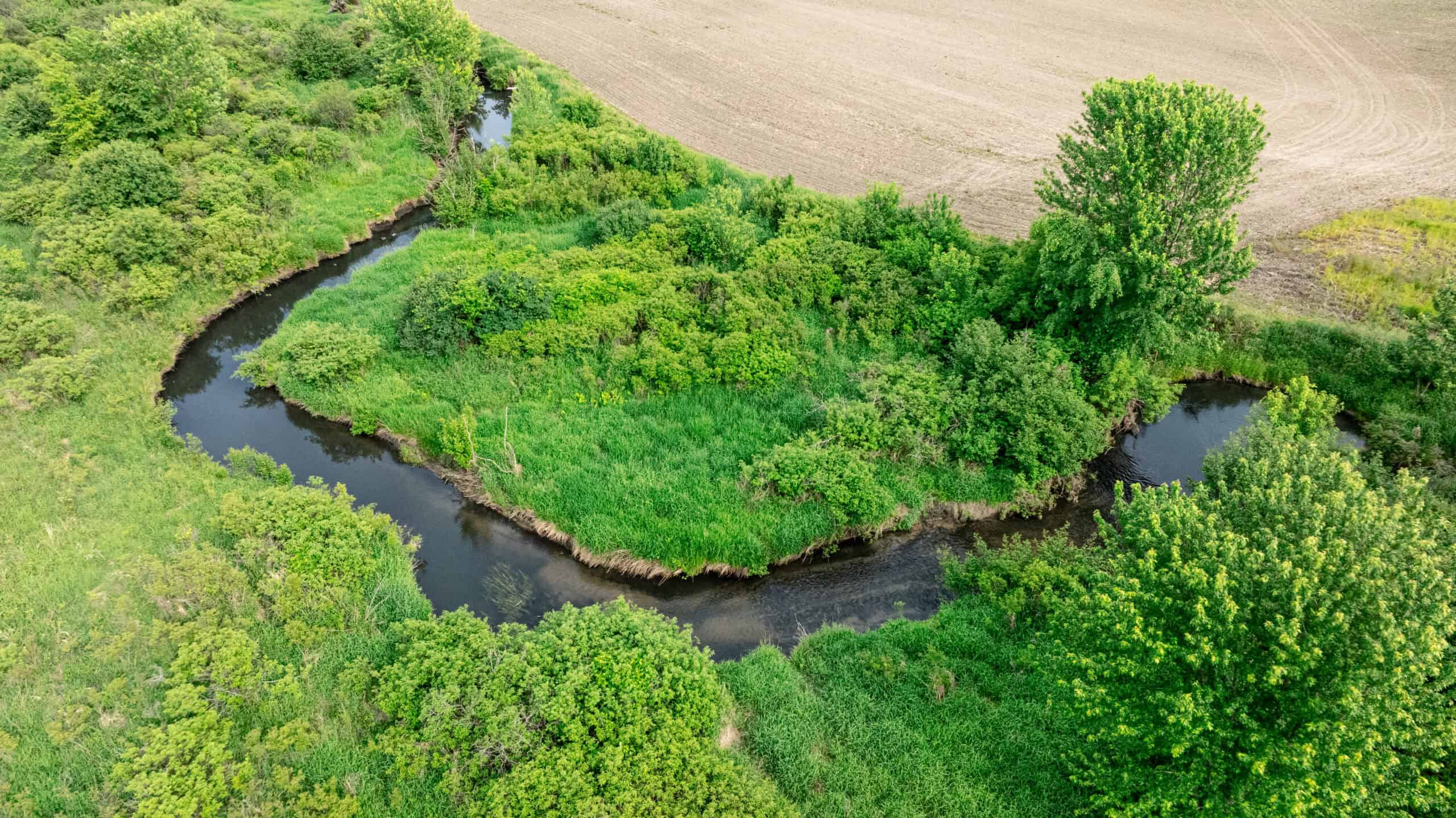 Online Auction 125± Acres of Farmland, Recreation & Investment Property