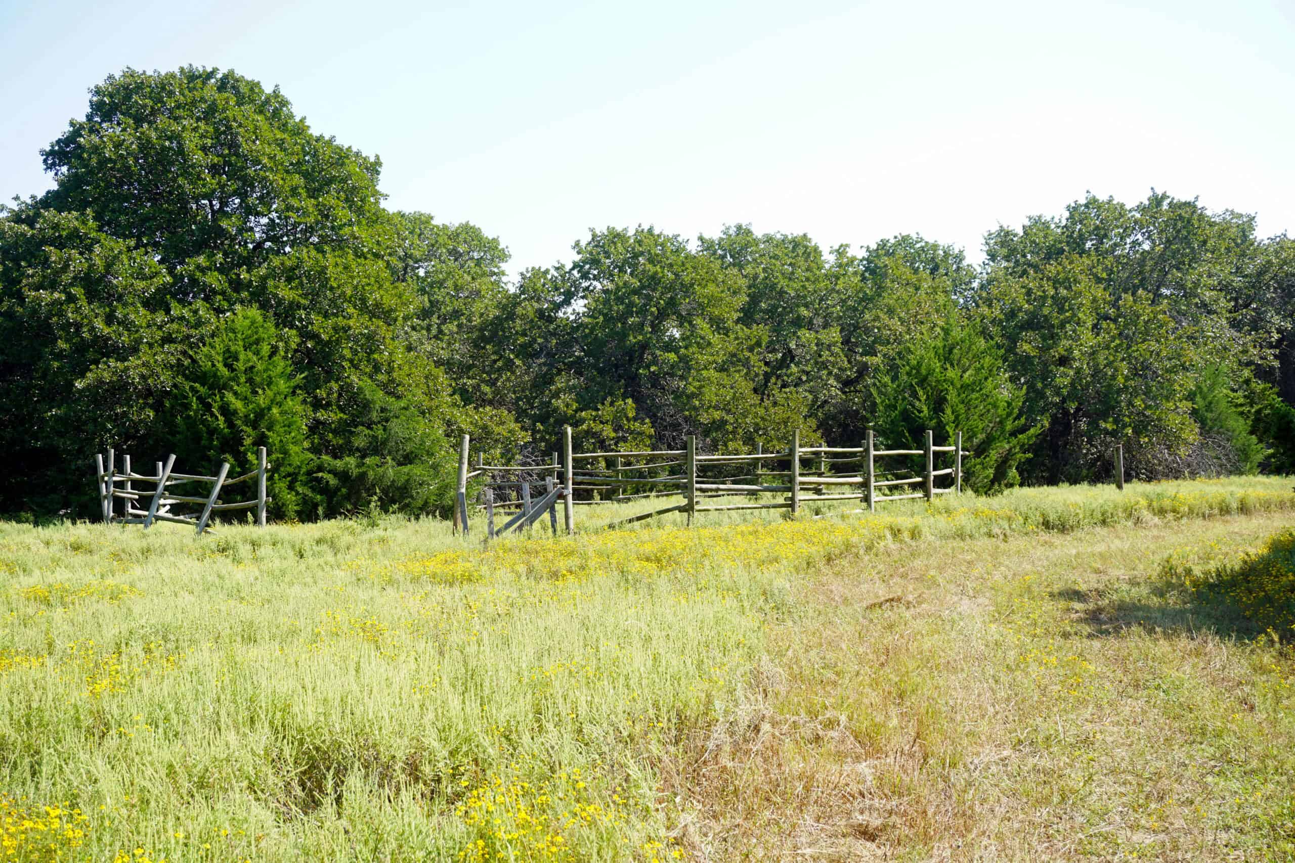 20 Acres +/- in Lincoln County For Sale