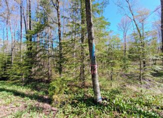 40 Acres Surrounded by 300,000 Acres of Public Land