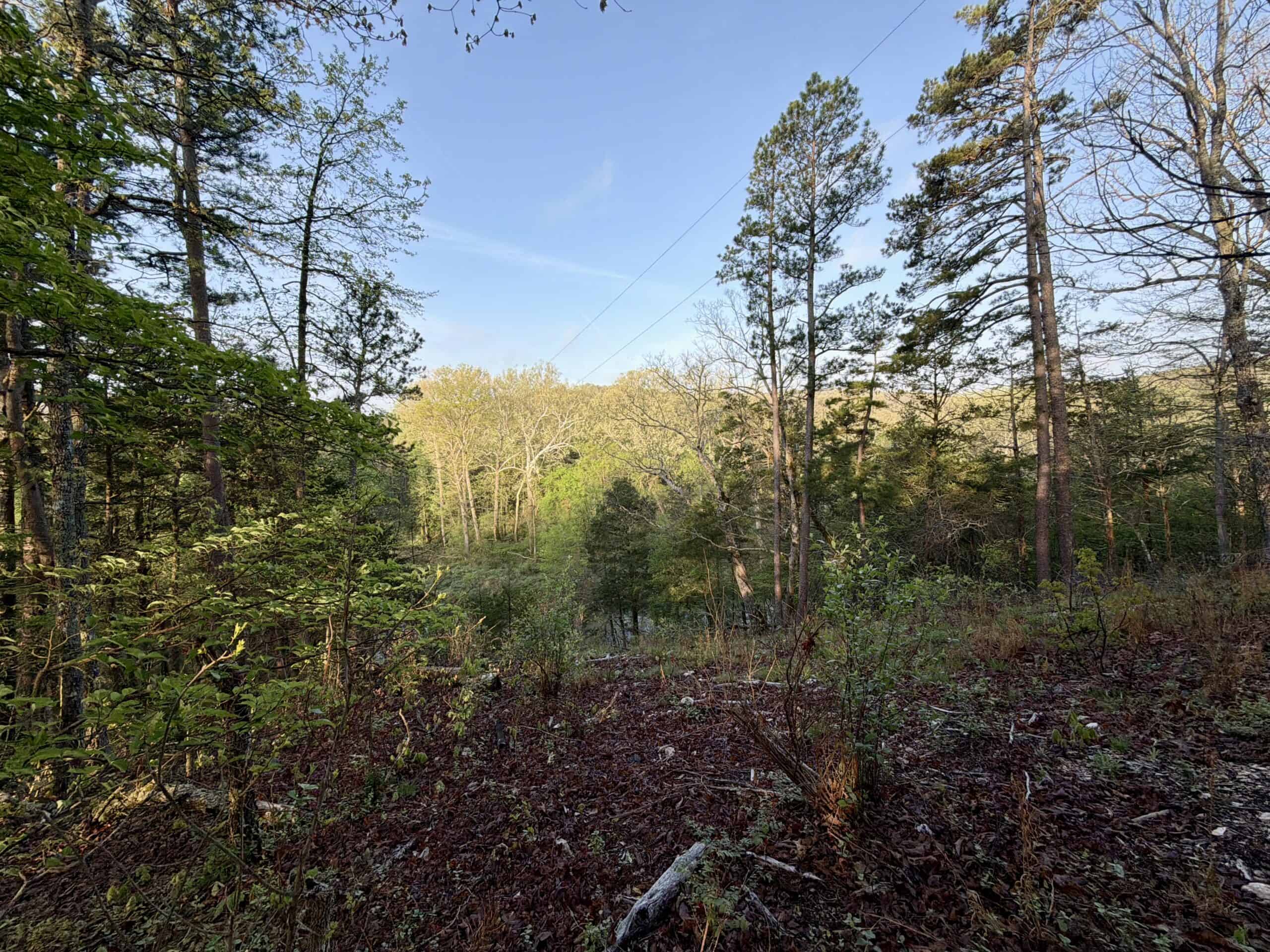 Land for Sale in the Missouri Ozark Mountains