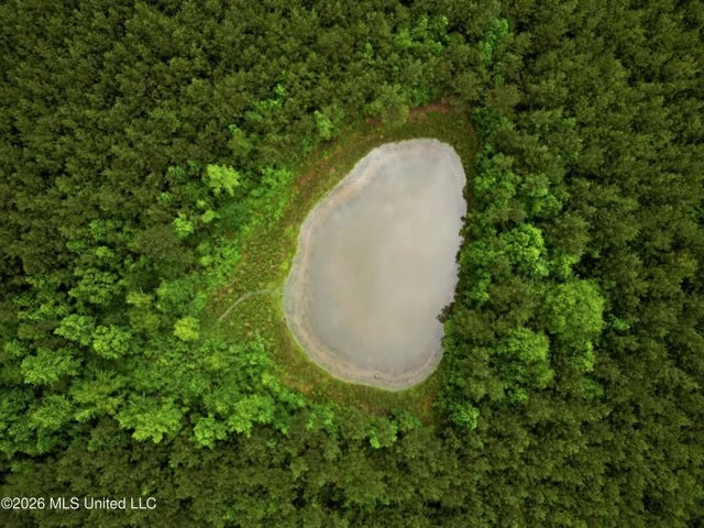 Land for Sale in Brookhaven, MS